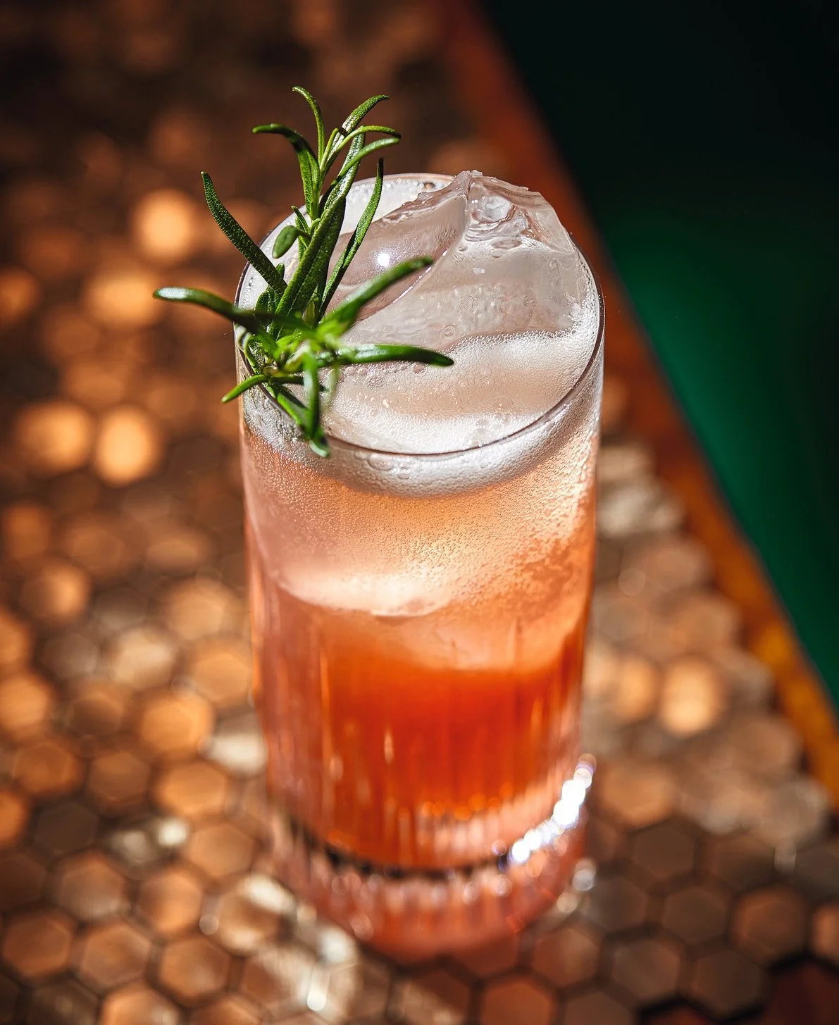 CHELSIE BAILEY CROPPED LR.jpg