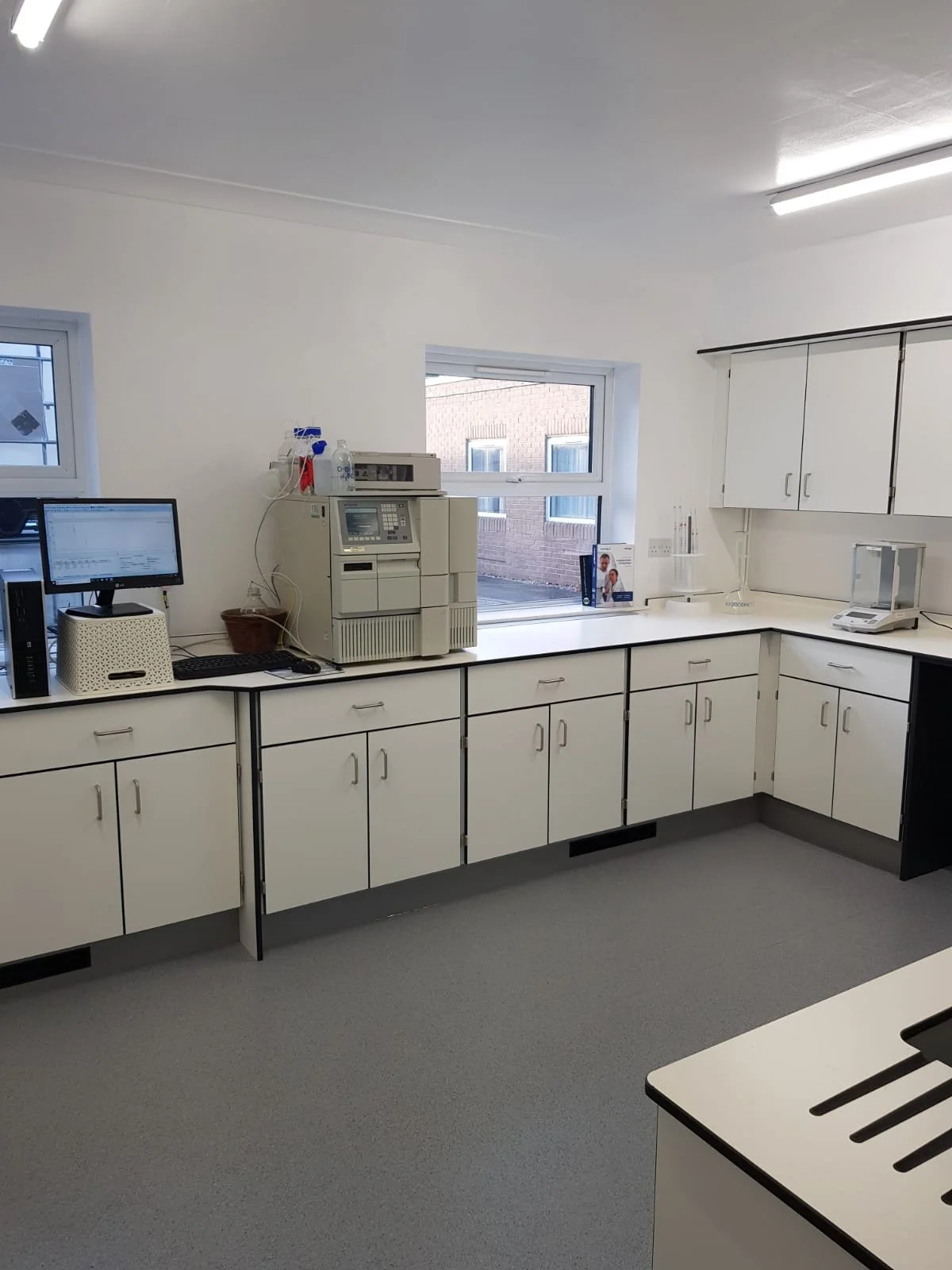 Medical laboratory with white cabinets, two small windows, and lab equipment on the counter.