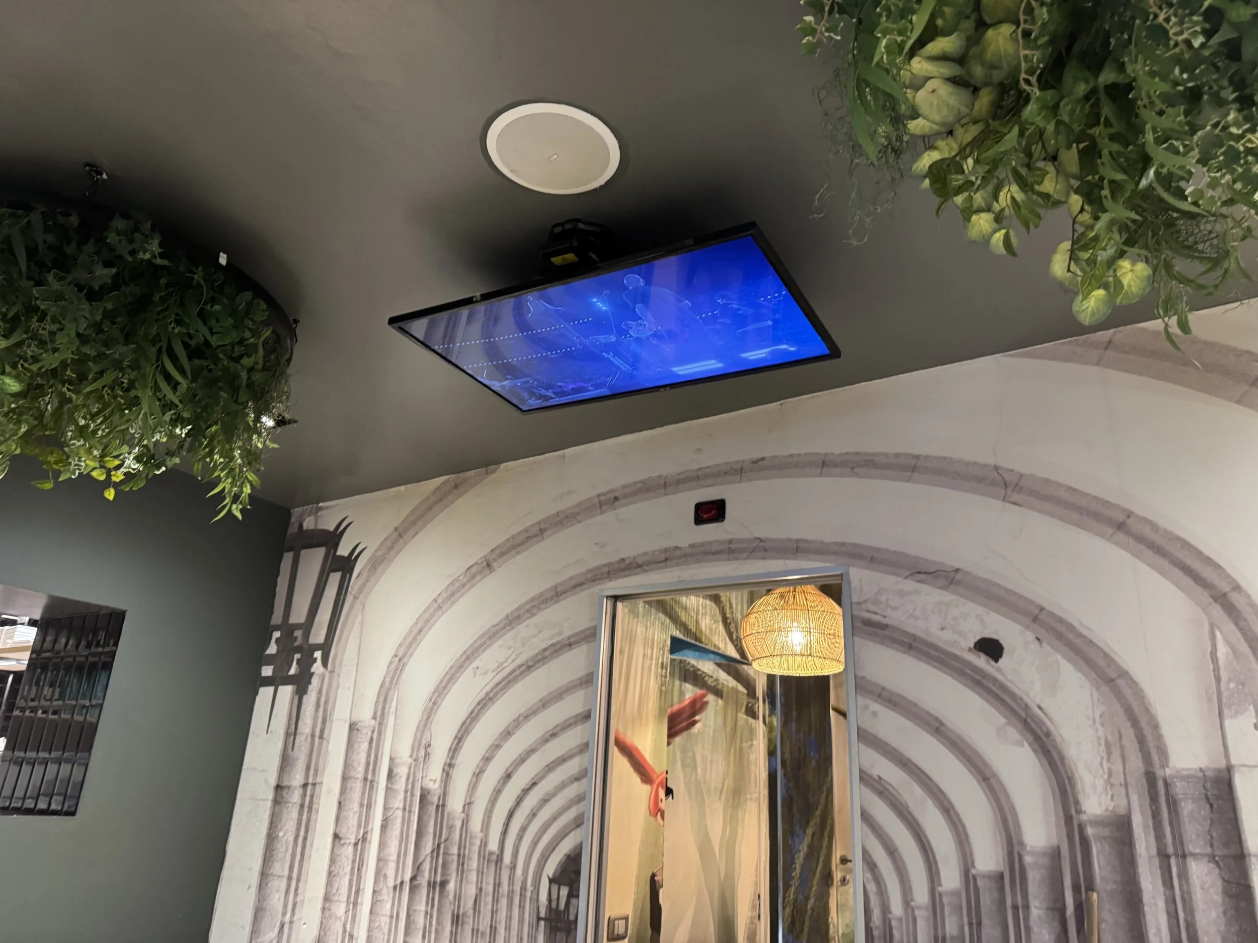 Tv Lg 43'' con staffa motorizzata a soffitto