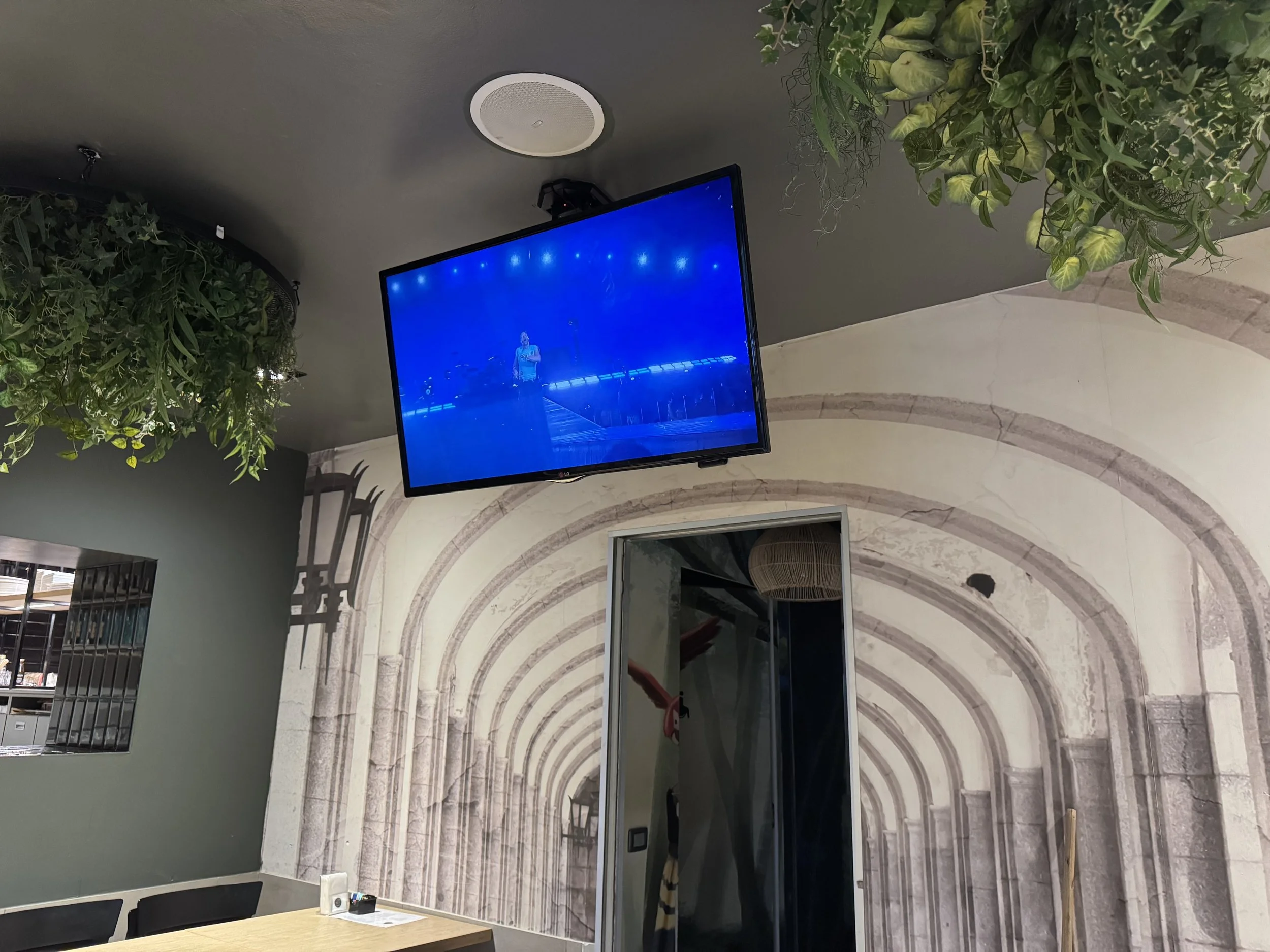 Tv Lg 43'' con staffa motorizzata a soffitto