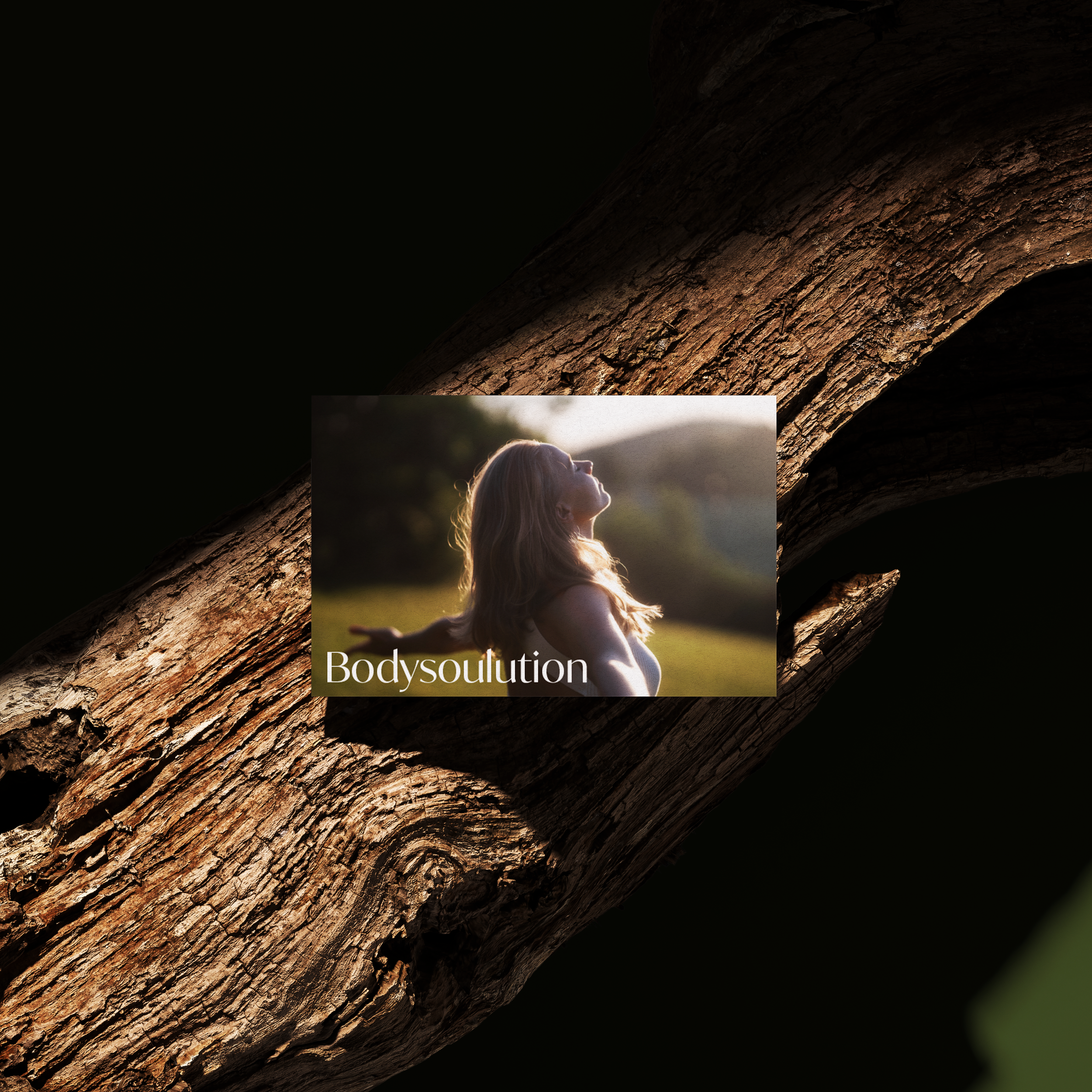bodysoulutionn.png