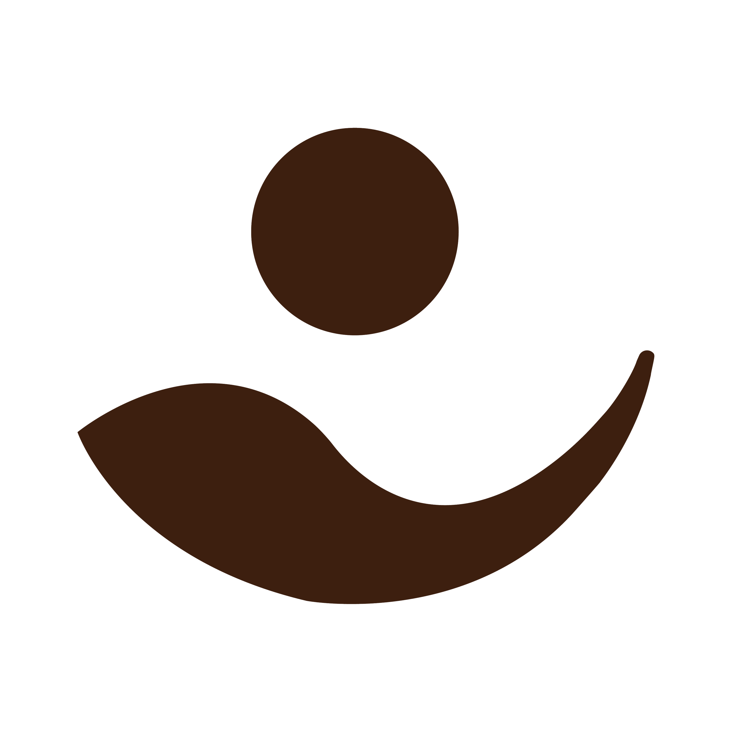 Logo_RGB_Icon_Dark Brown.png