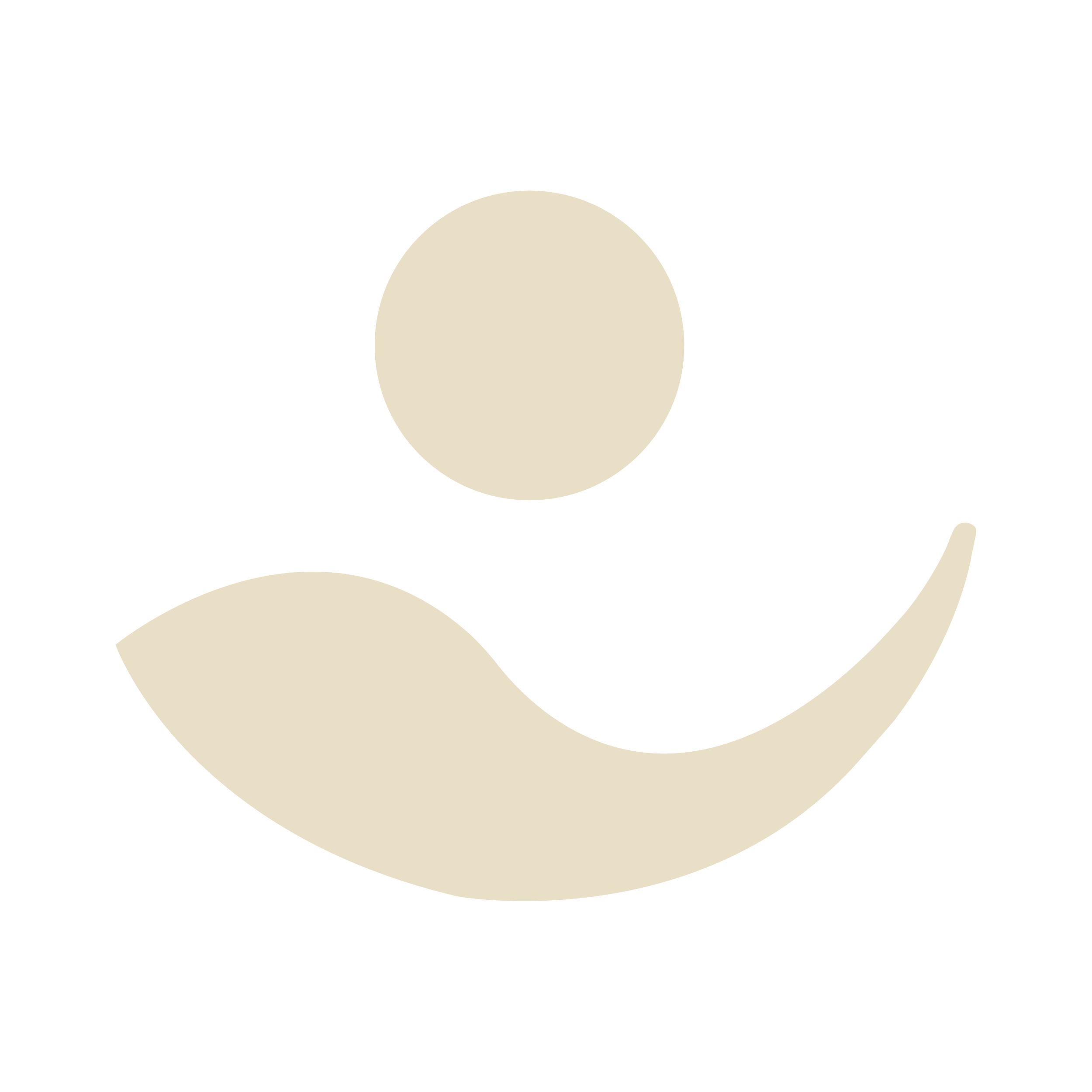 Logo_RGB_Icon_Beige.png