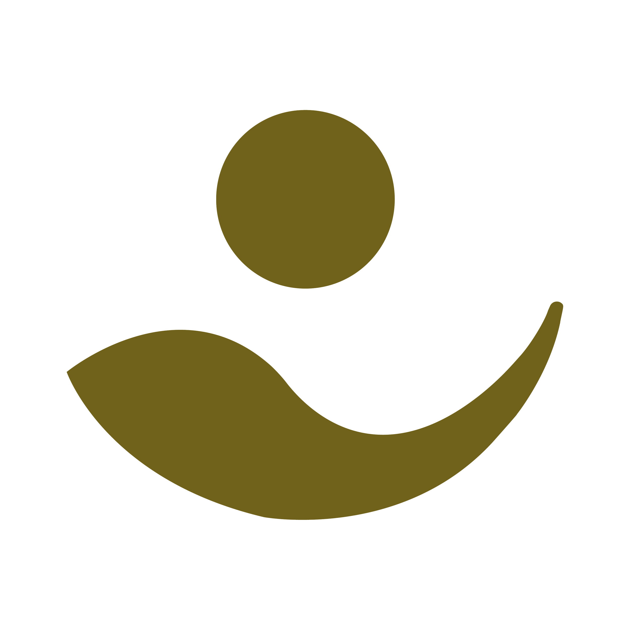 Logo_RGB_Icon_Olive green.png