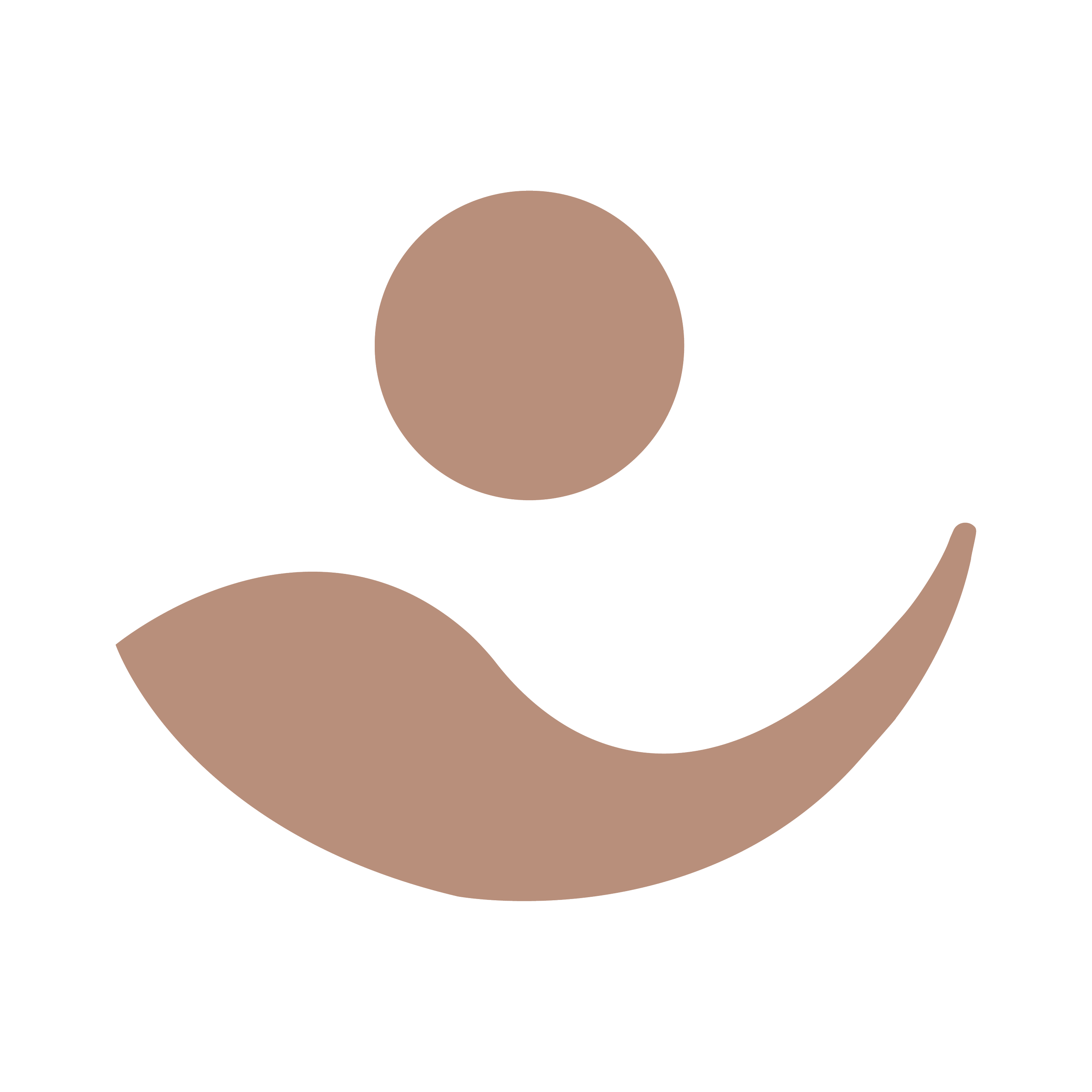 Logo_RGB_Icon_Terracota Light.png