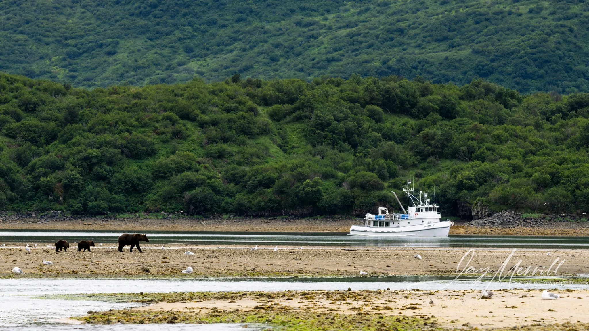 431 Katmai National Park