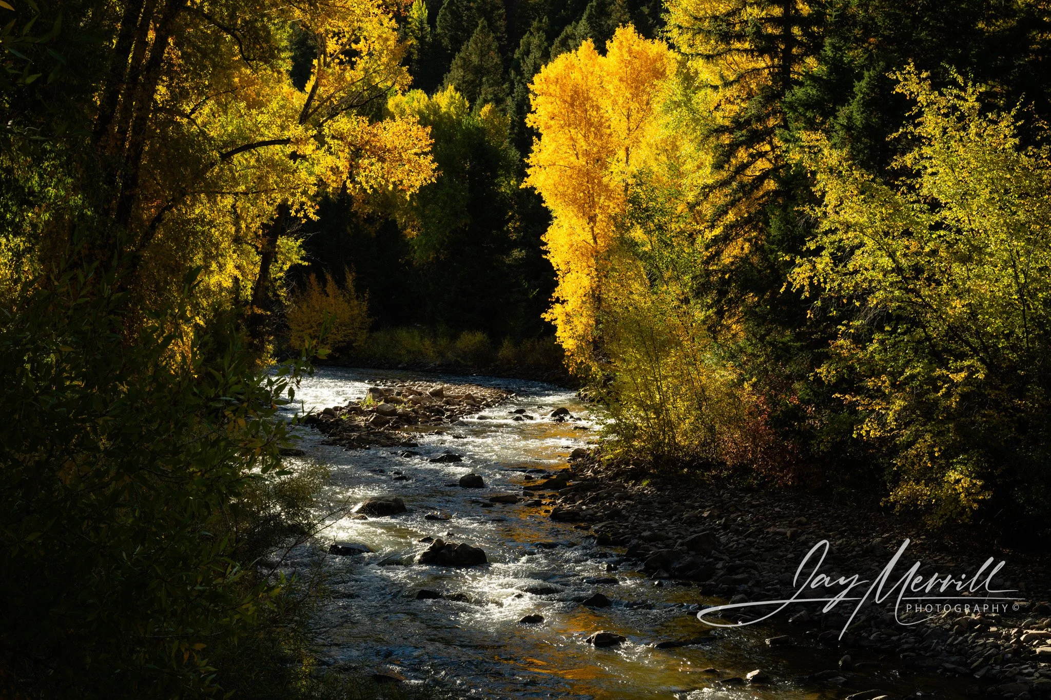 422 Early Light