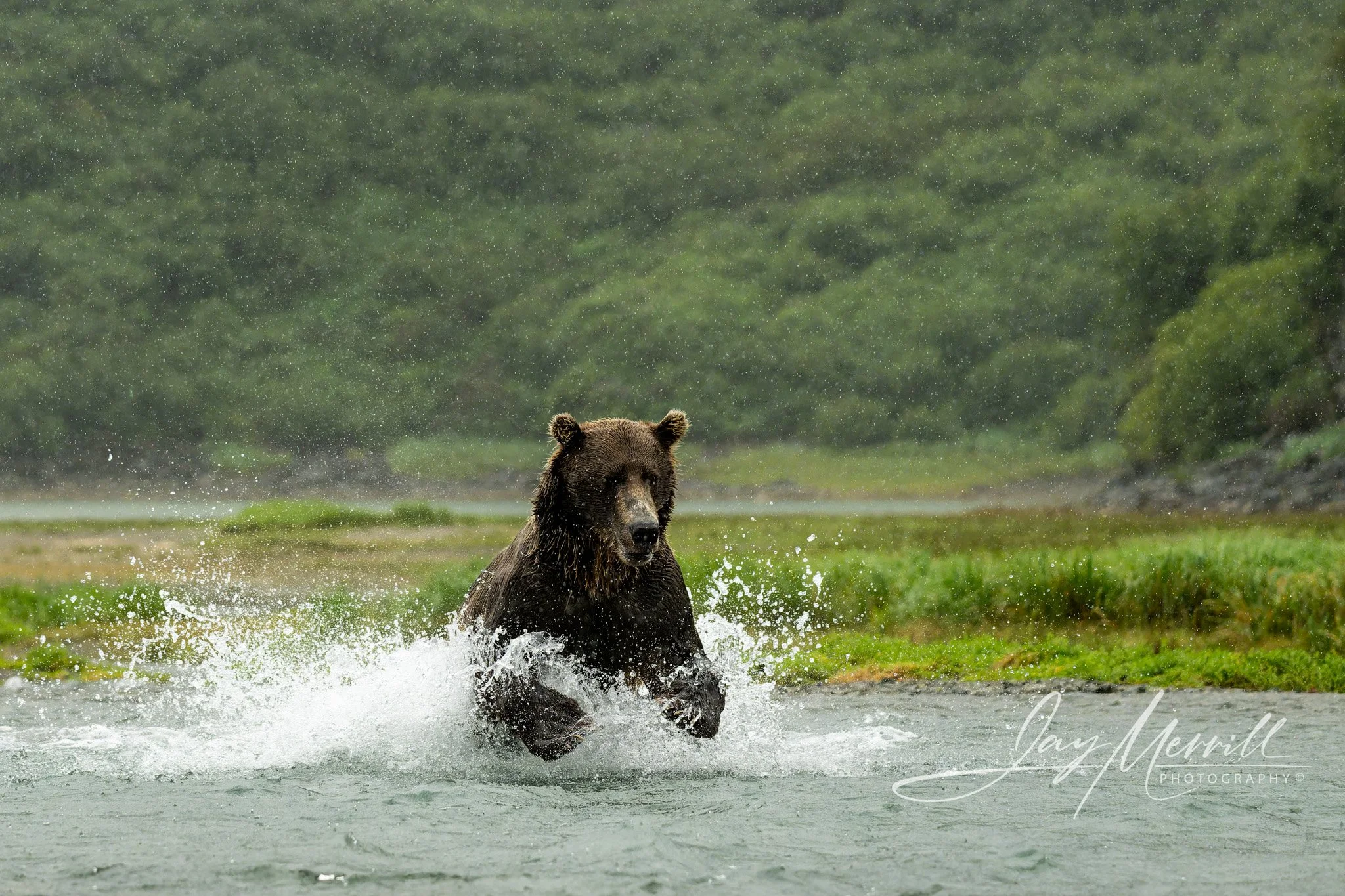 671 Fishing in the Rain