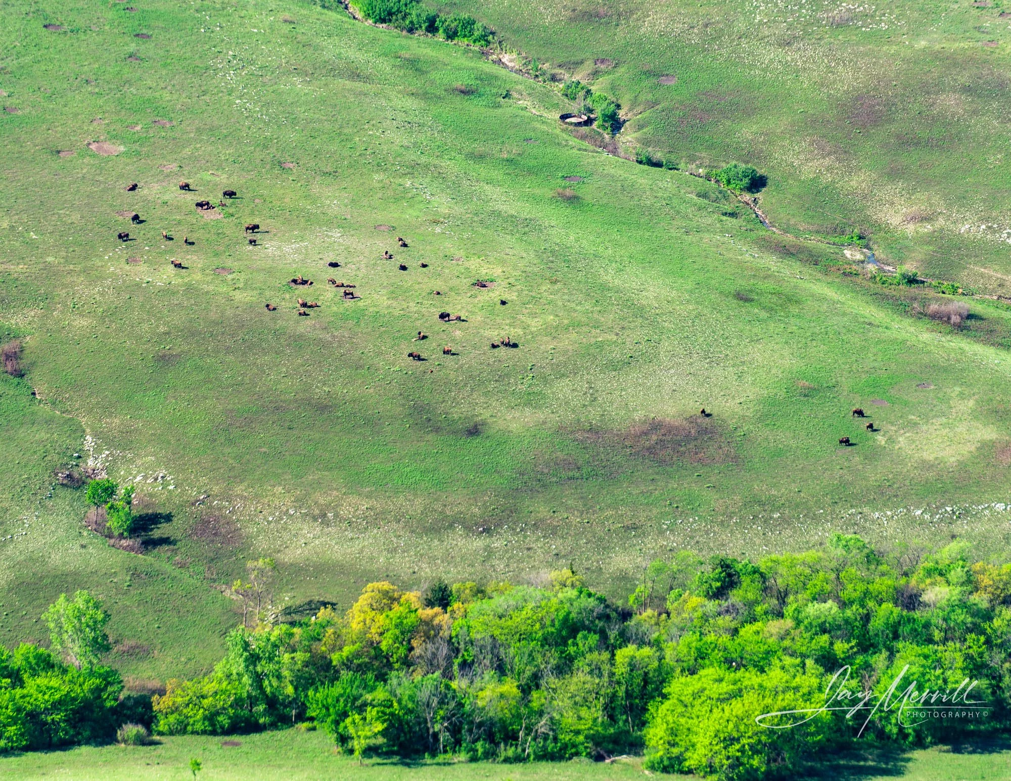 631 Bison Spring Kansas Flint Hills