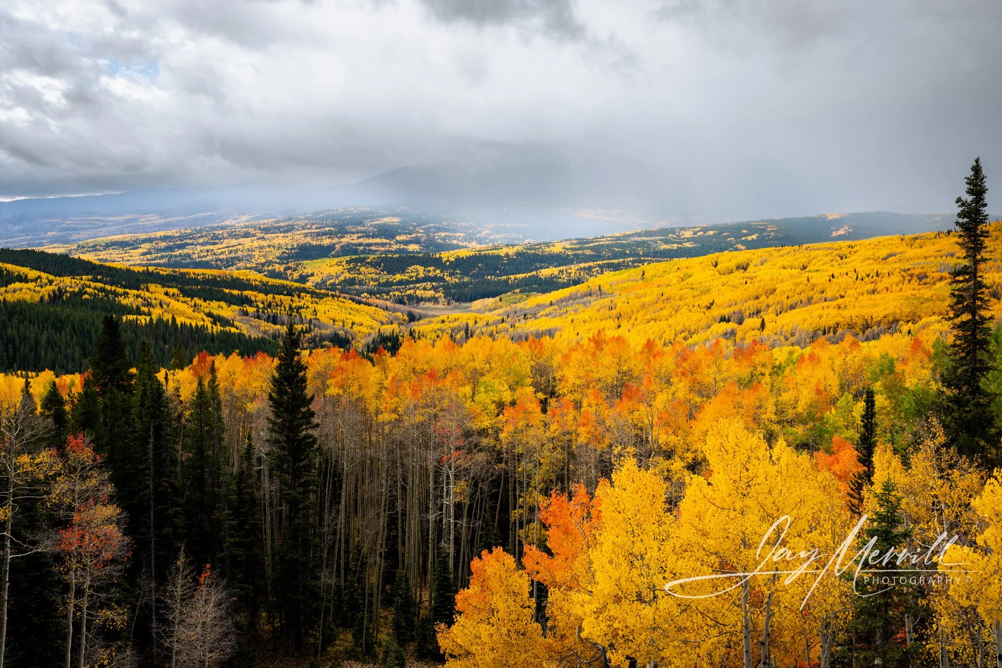 423 Aspen Glow