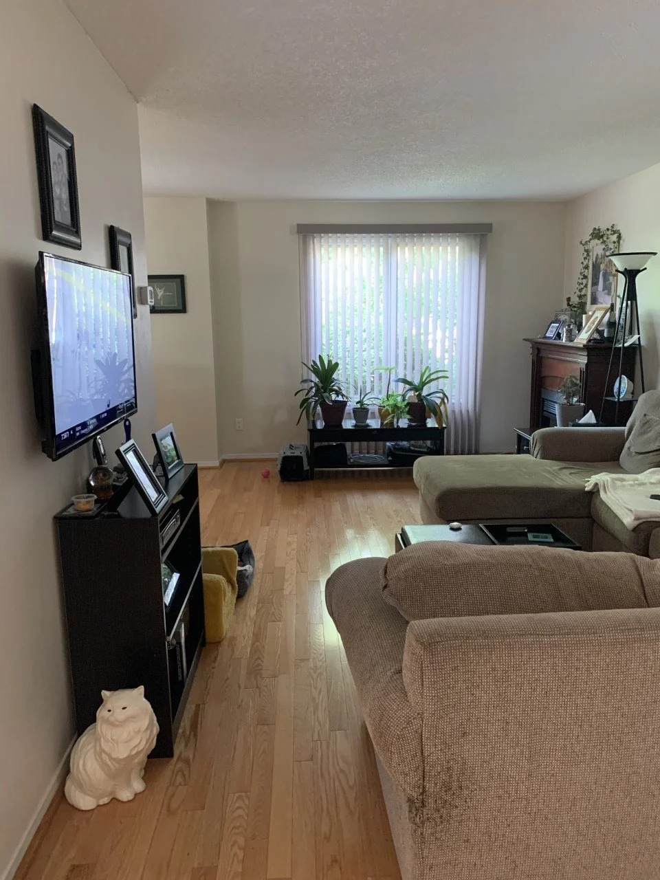 IMG_6250 (1) (1).jpeg