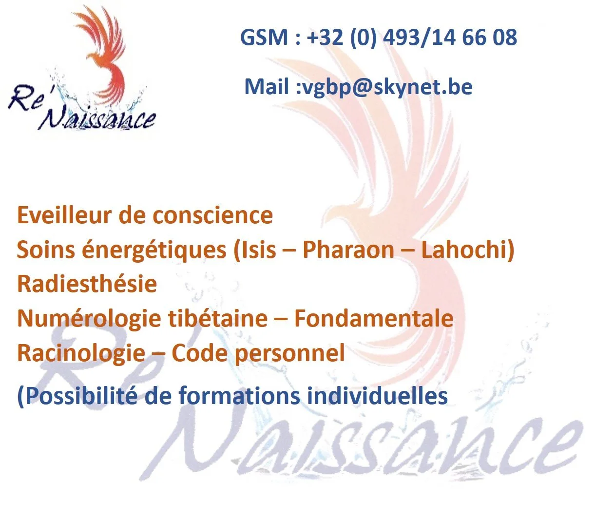 Pascal Vangansbeck Re'Naissance