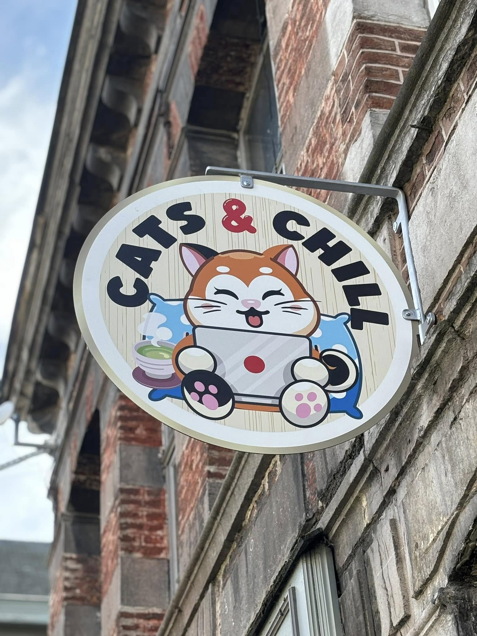 Cats&Chill