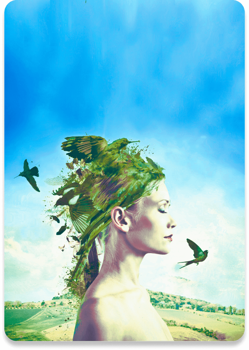 heroimage-p-800.png