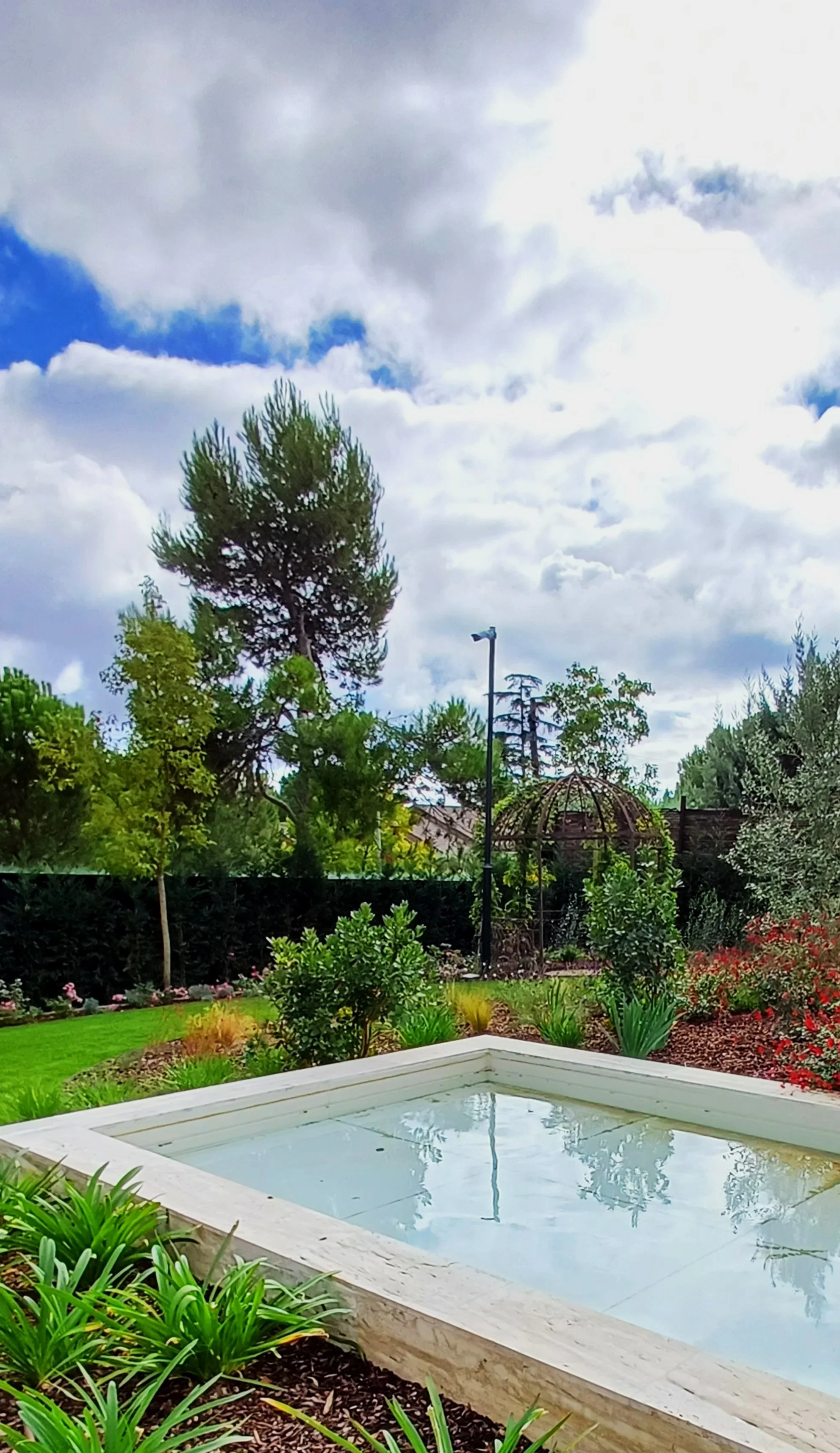 jardin con fuente decorativa, plantas acuaticas, paisajismo, diseño