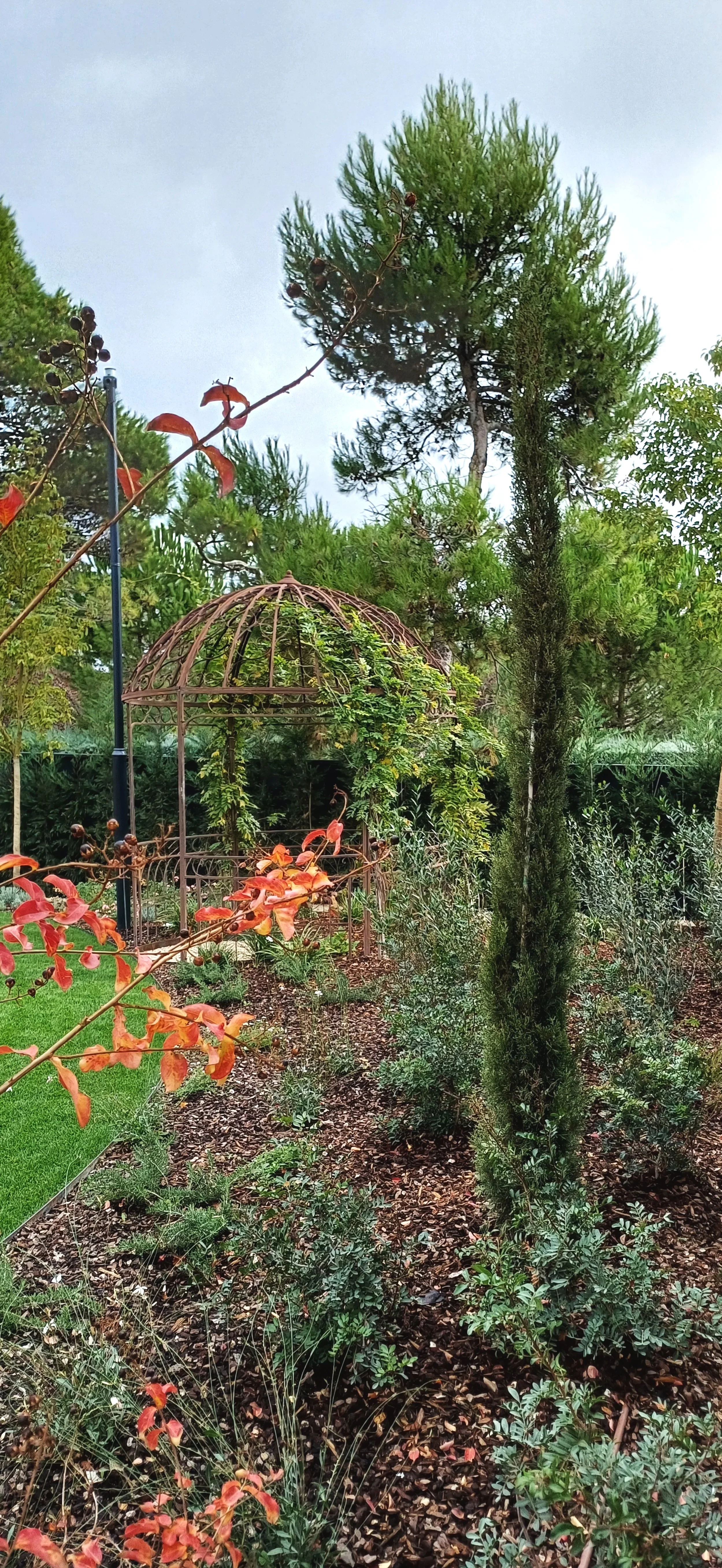 jardin en otoño, villa de lujo, diseño jardin lujo, diseño sostenible, jardin ecologico, diseño jardin sencillo
