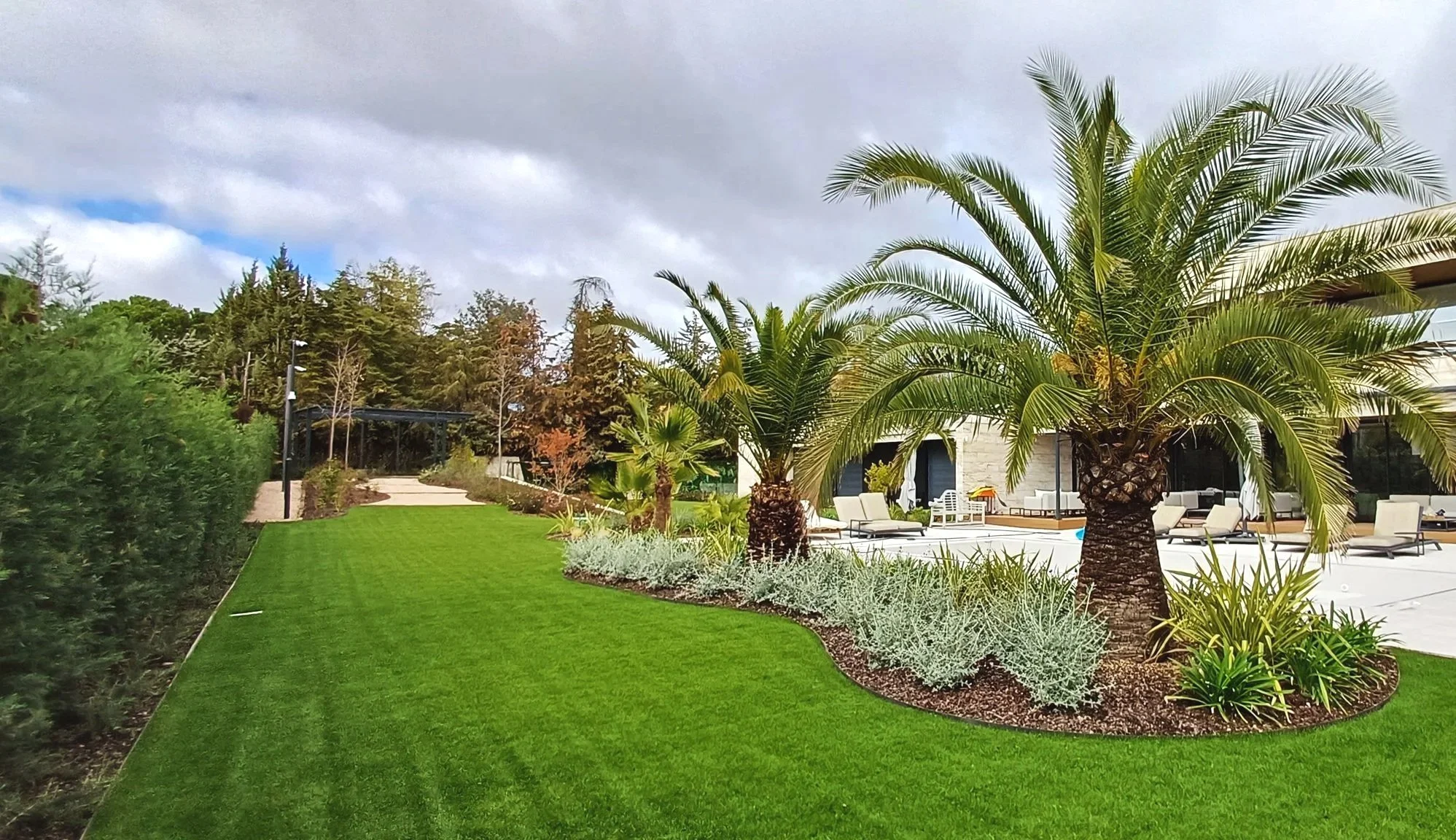 palmeras en madrid, piscina y plantas, plantar arboles, piscina en mi jardin, plantas aquatica