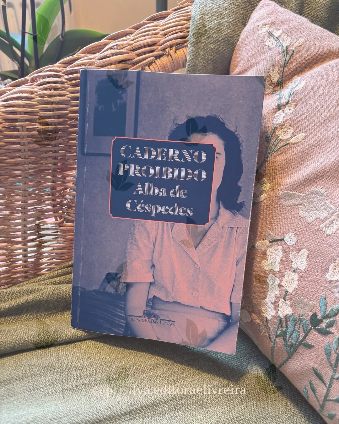 Em uma viagem pelos meus cadernos, segurei as m&atilde;os de Alba de C&eacute;spedes e segui pelo caminho mais escuro - e revelador ao mesmo tempo -, para o qual a escrita me leva.
O que eu penso, mas n&atilde;o quero pensar? O que eu quero, mas n&at