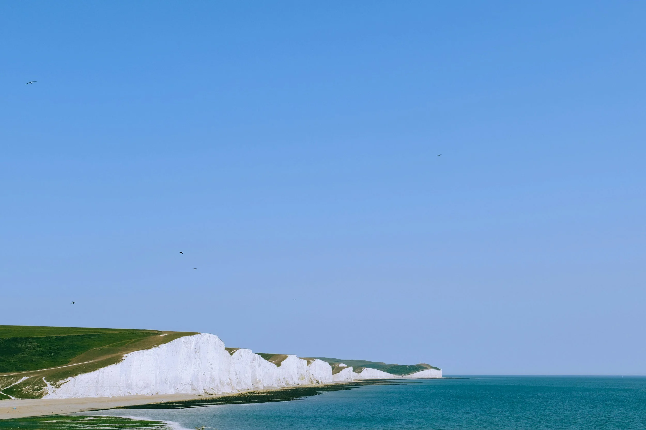 White chalk cliffs along a coastline with a grassy top, the ocean below, and a clear blue sky with scattered birds flying.