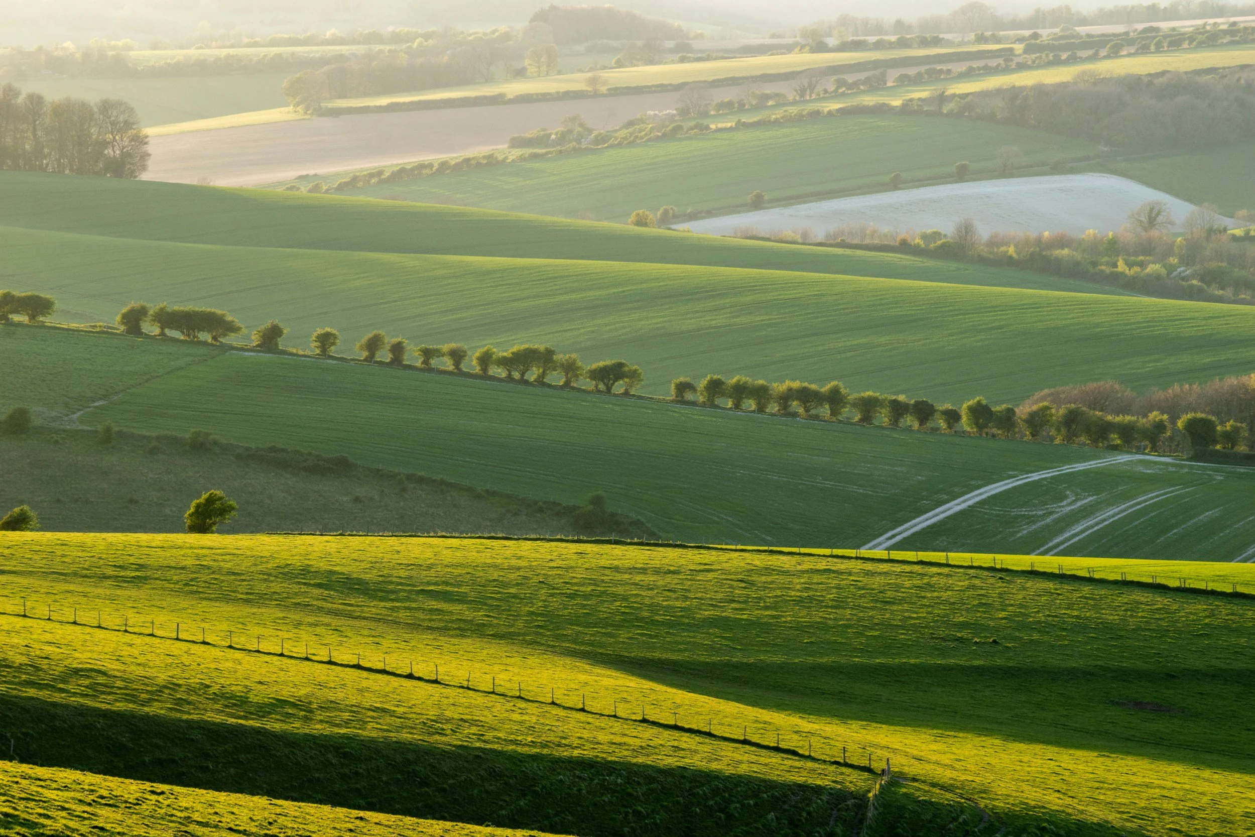 Scenic landscape of rolling green hills with trees and fencing, illuminated by warm sunlight, in a rural setting.