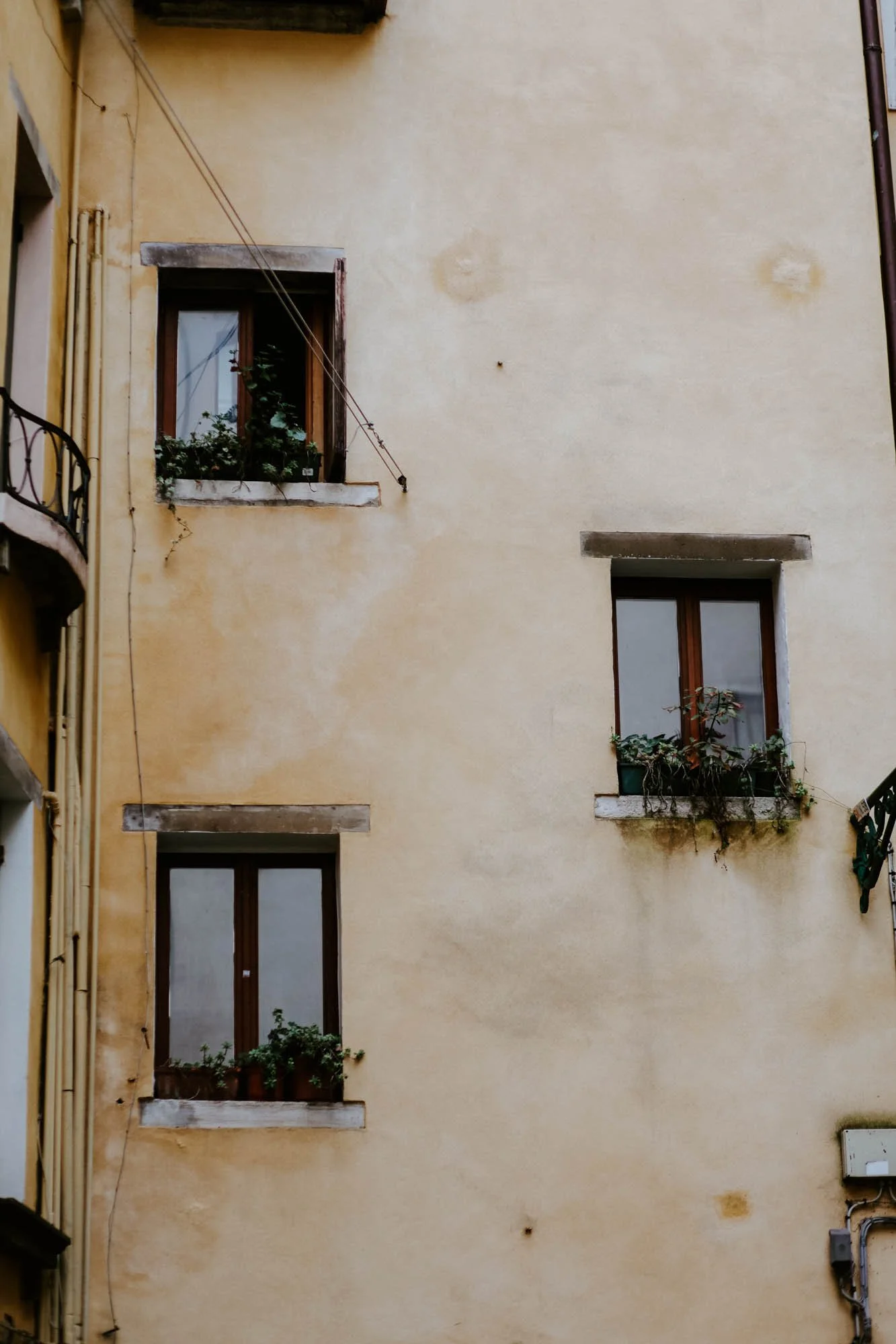 A beige apartment building with three windows, each with flower boxes and plants, and some visible utility wires on the wall.