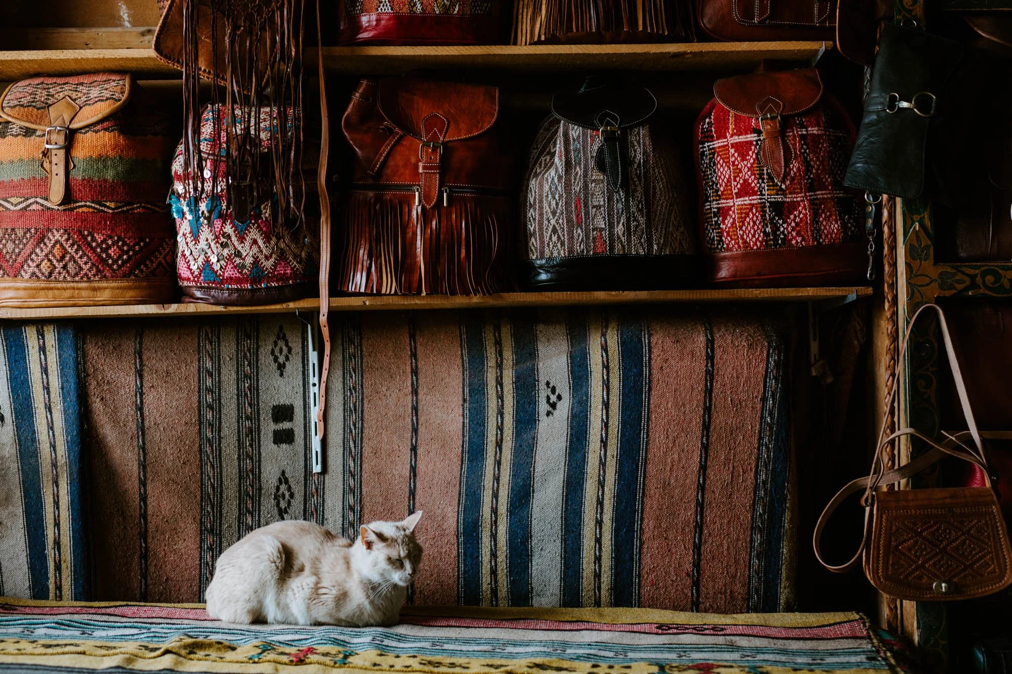 A white cat lying on a colorful striped rug with a background of wooden shelves filled with woven bags and leather purses.