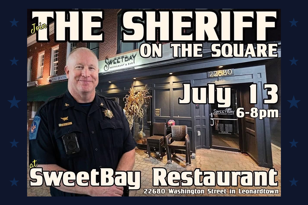 The Sheriff on the Square - SweetBay
