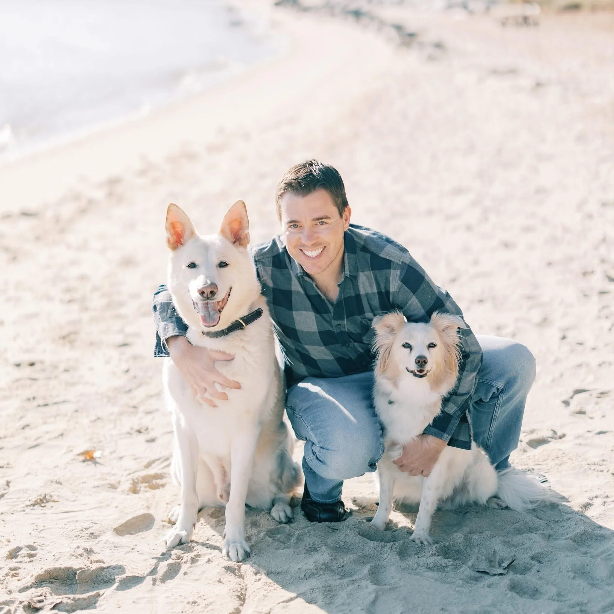 A smiling man in a plaid shirt crouching on a sandy beach with two small dogs, one large white dog and one smaller tan and white dog, all enjoying sunny weather.