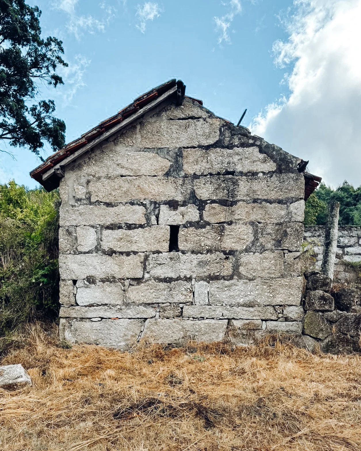 Imagem WhatsApp 2024-10-04 às 11.59.58_975d9bb8.jpg