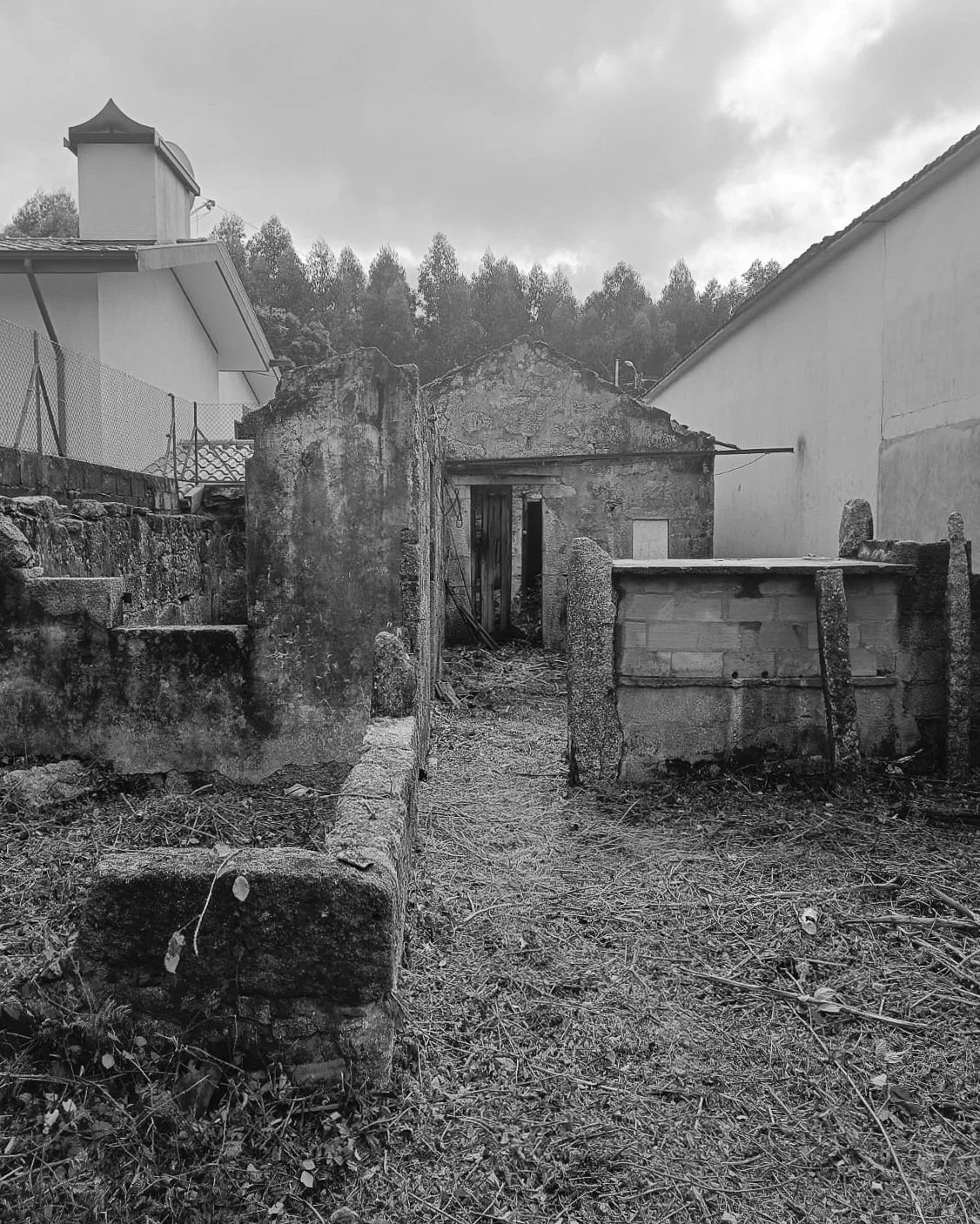 06.jpg