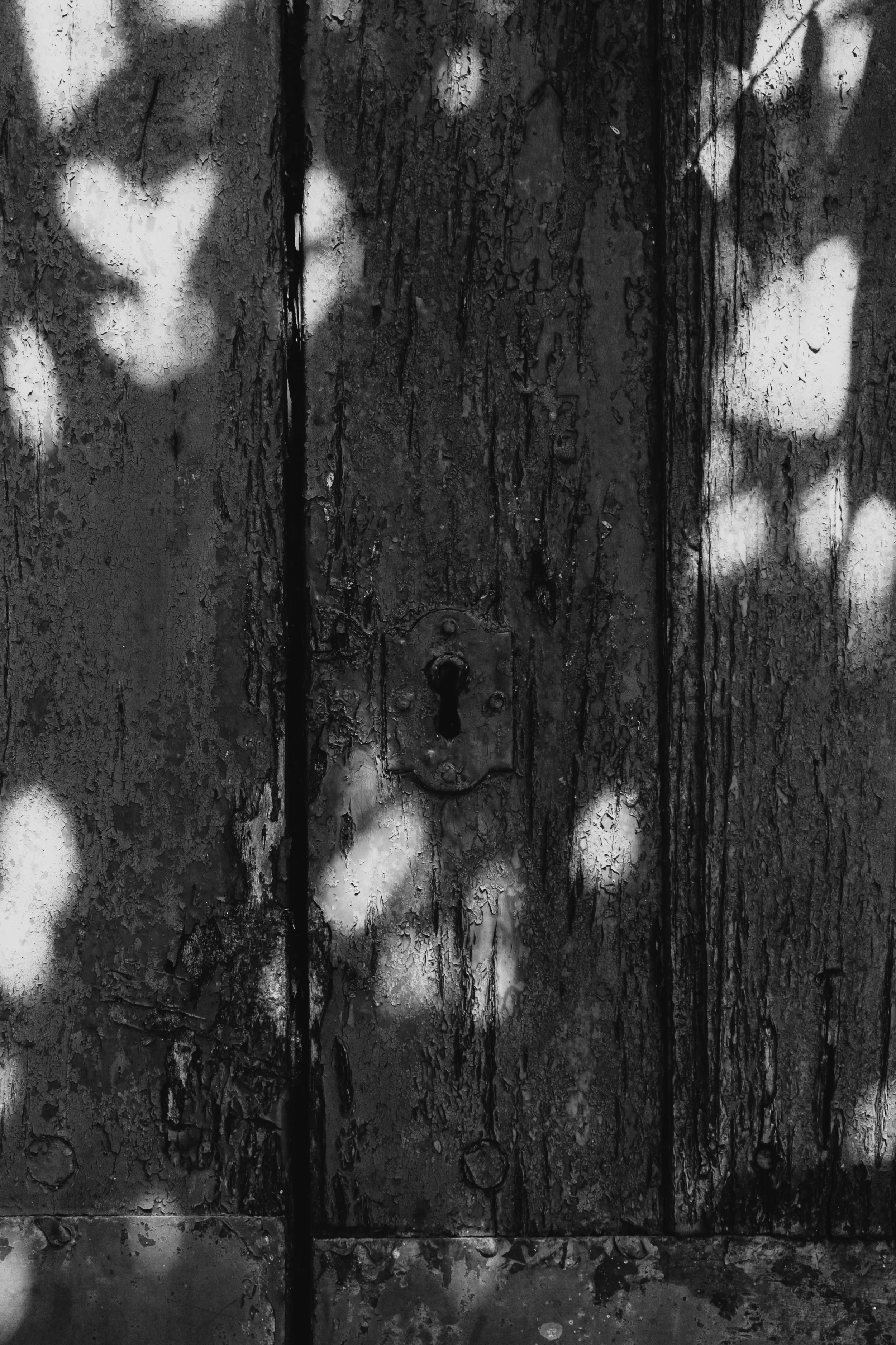 DSCF3591.jpg