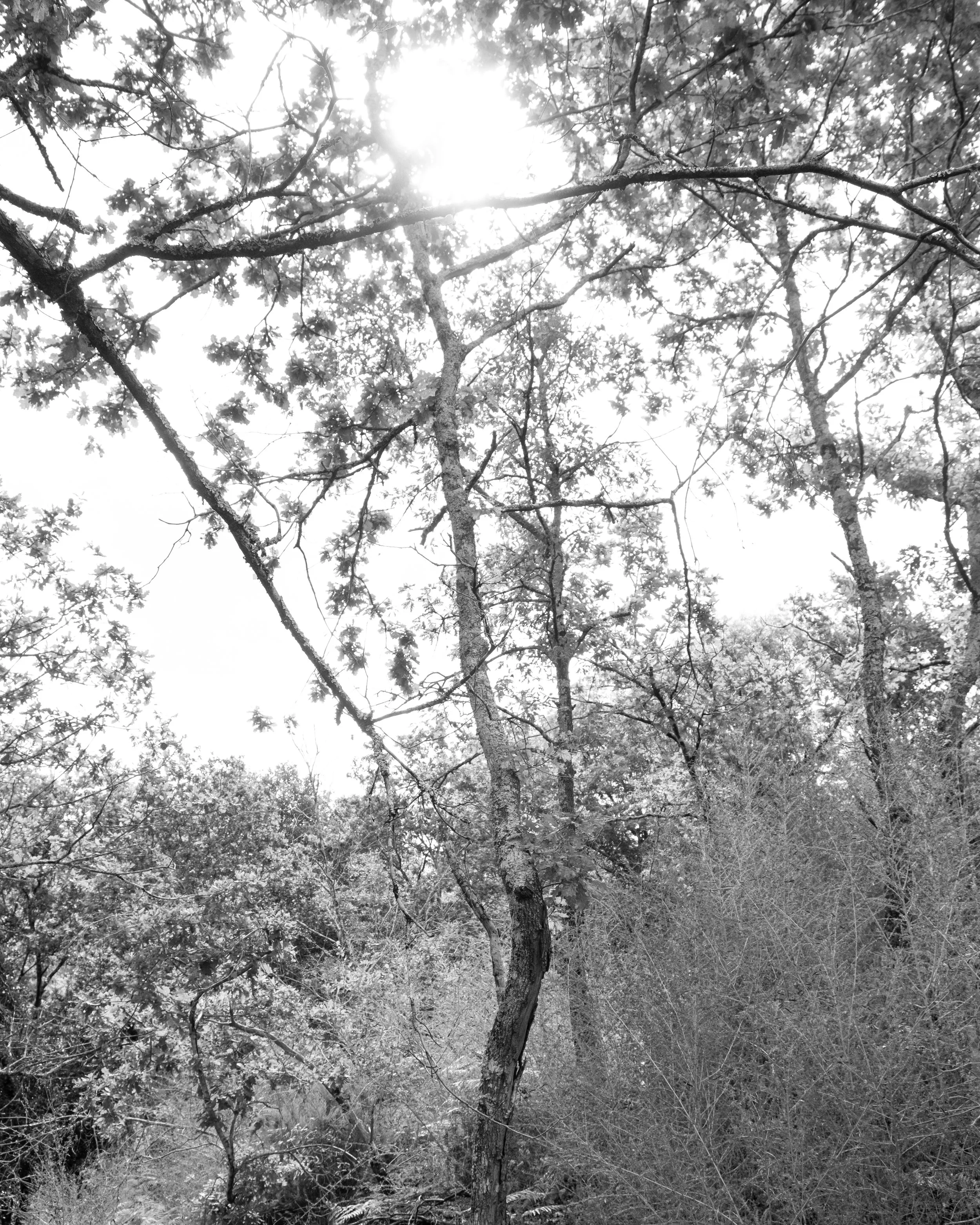 DSCF6573.jpg