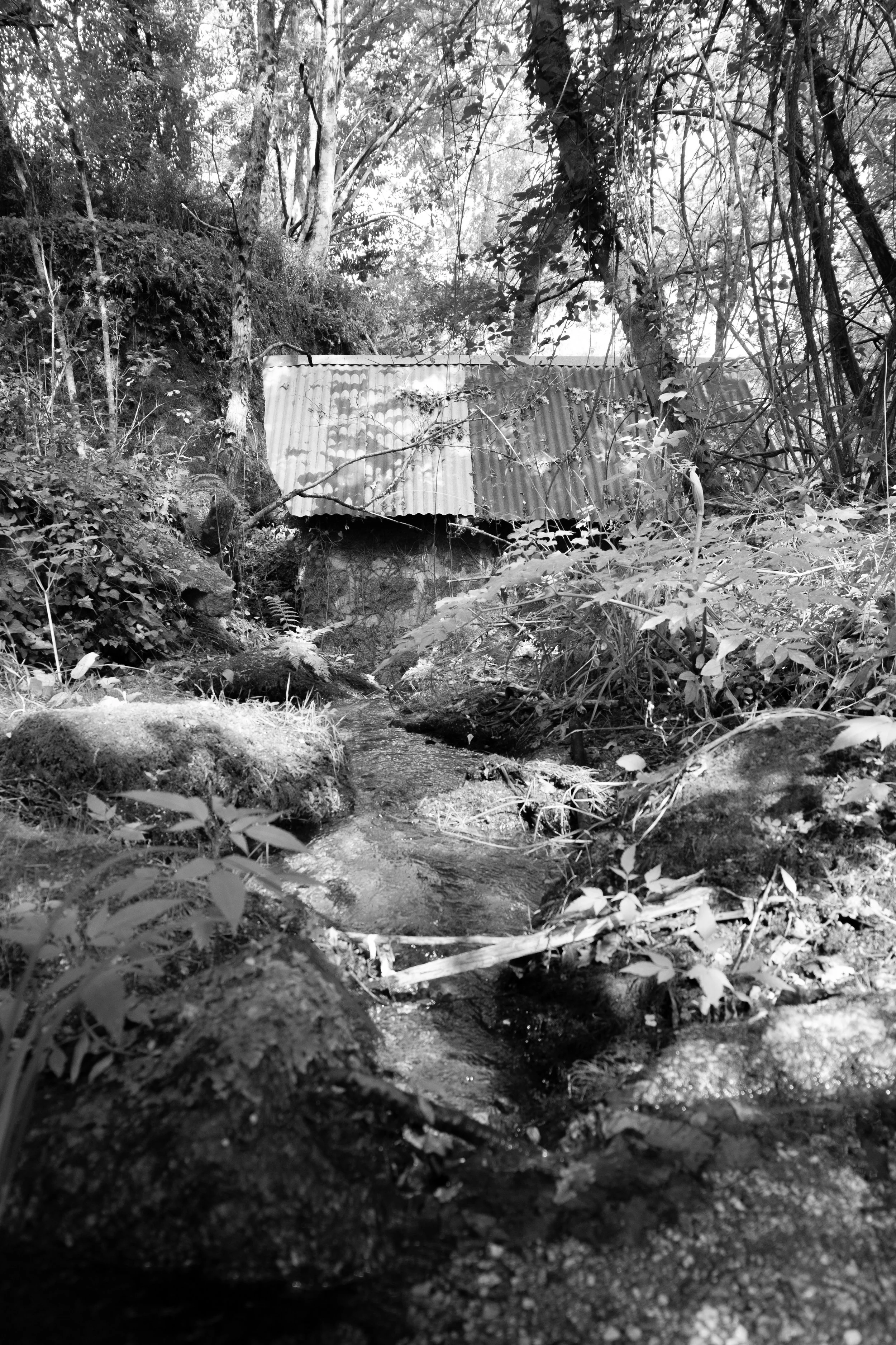 DSCF6544.jpg