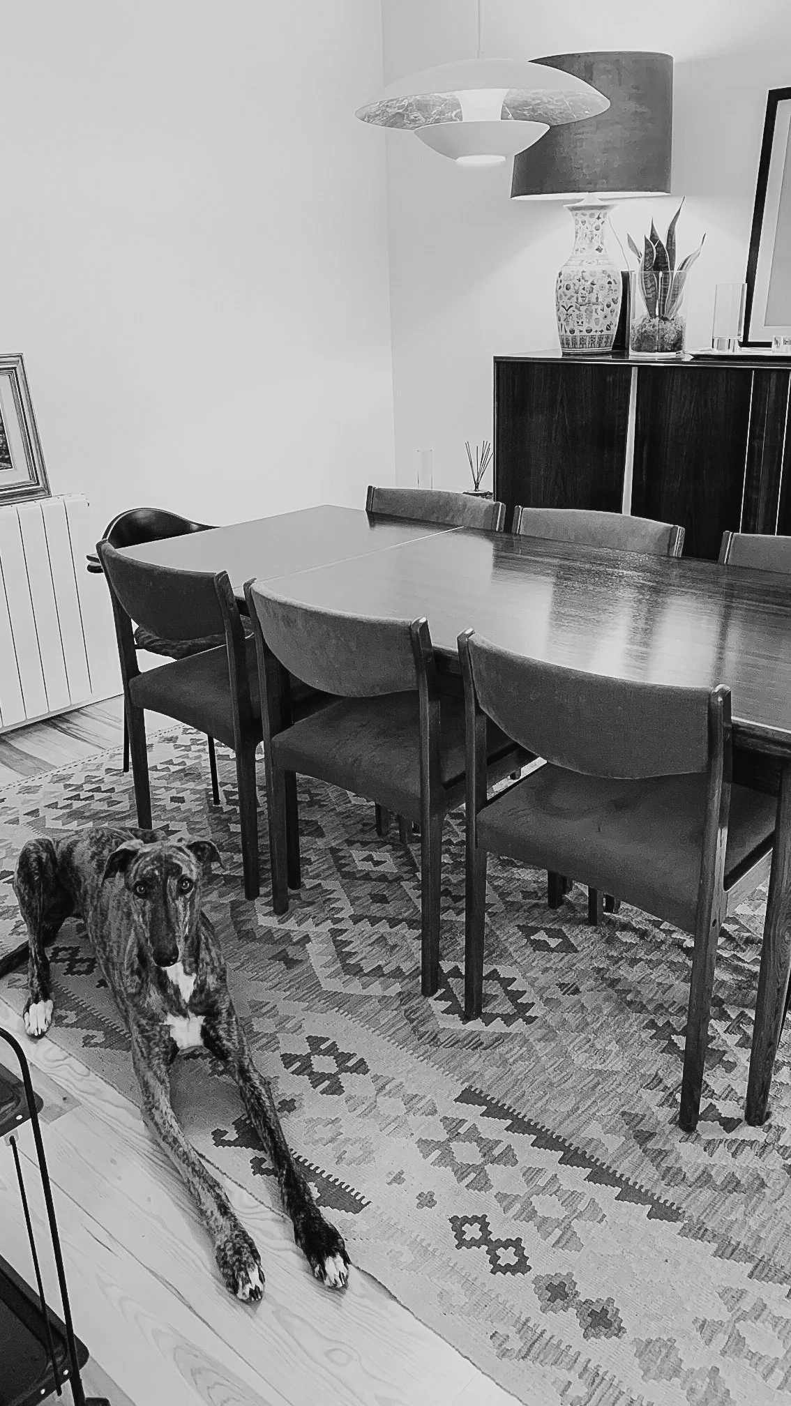 Antes (1).jpg