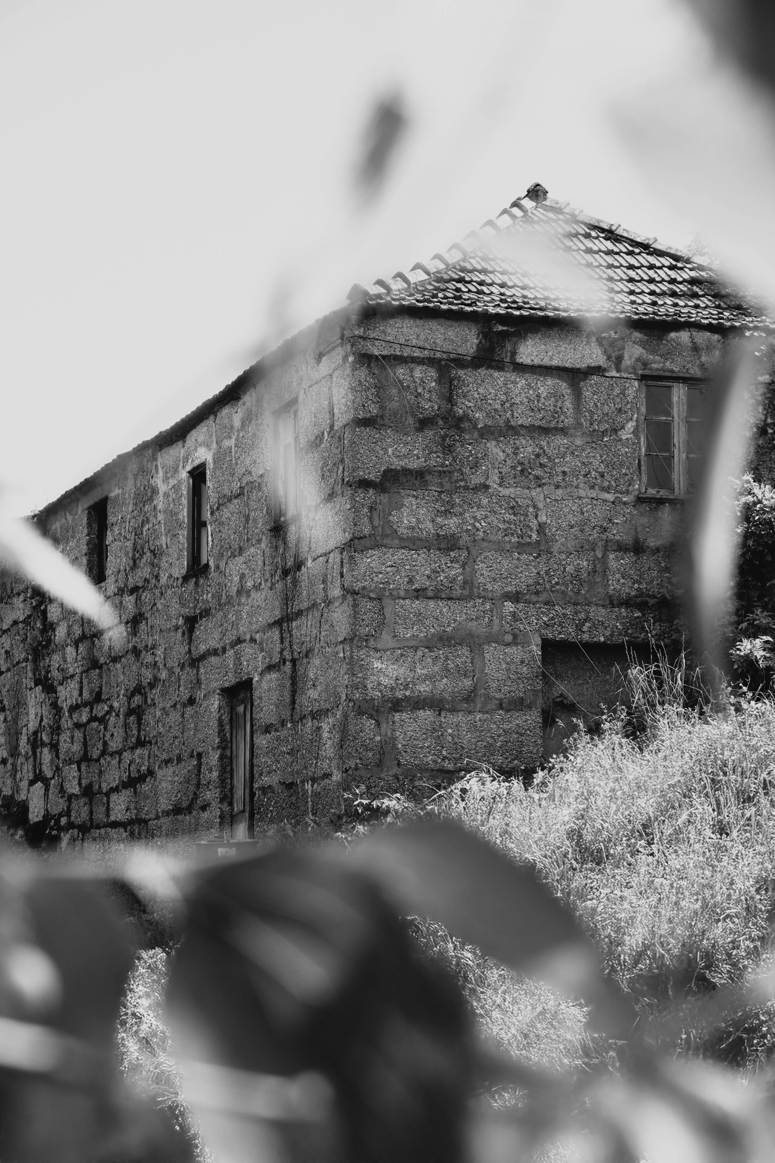 DSCF3682-Edit.jpg