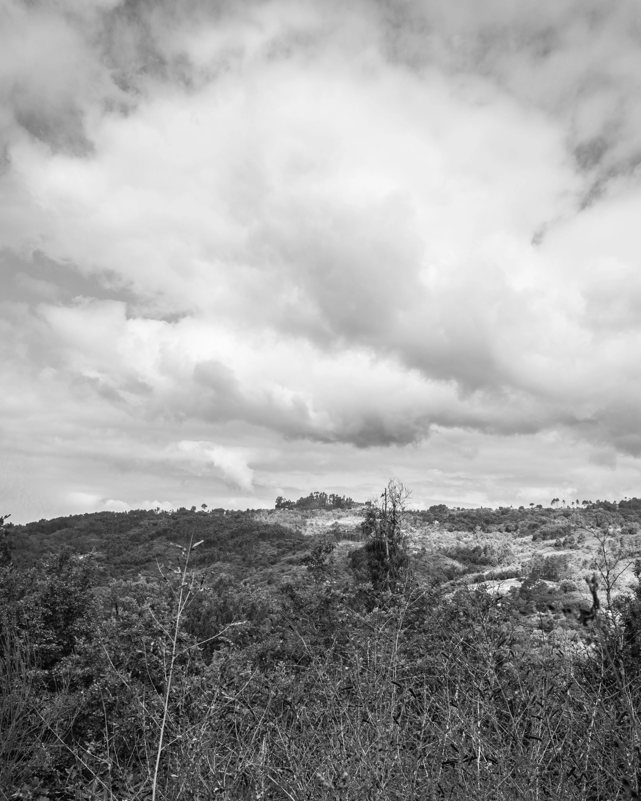 DSCF6568.jpg