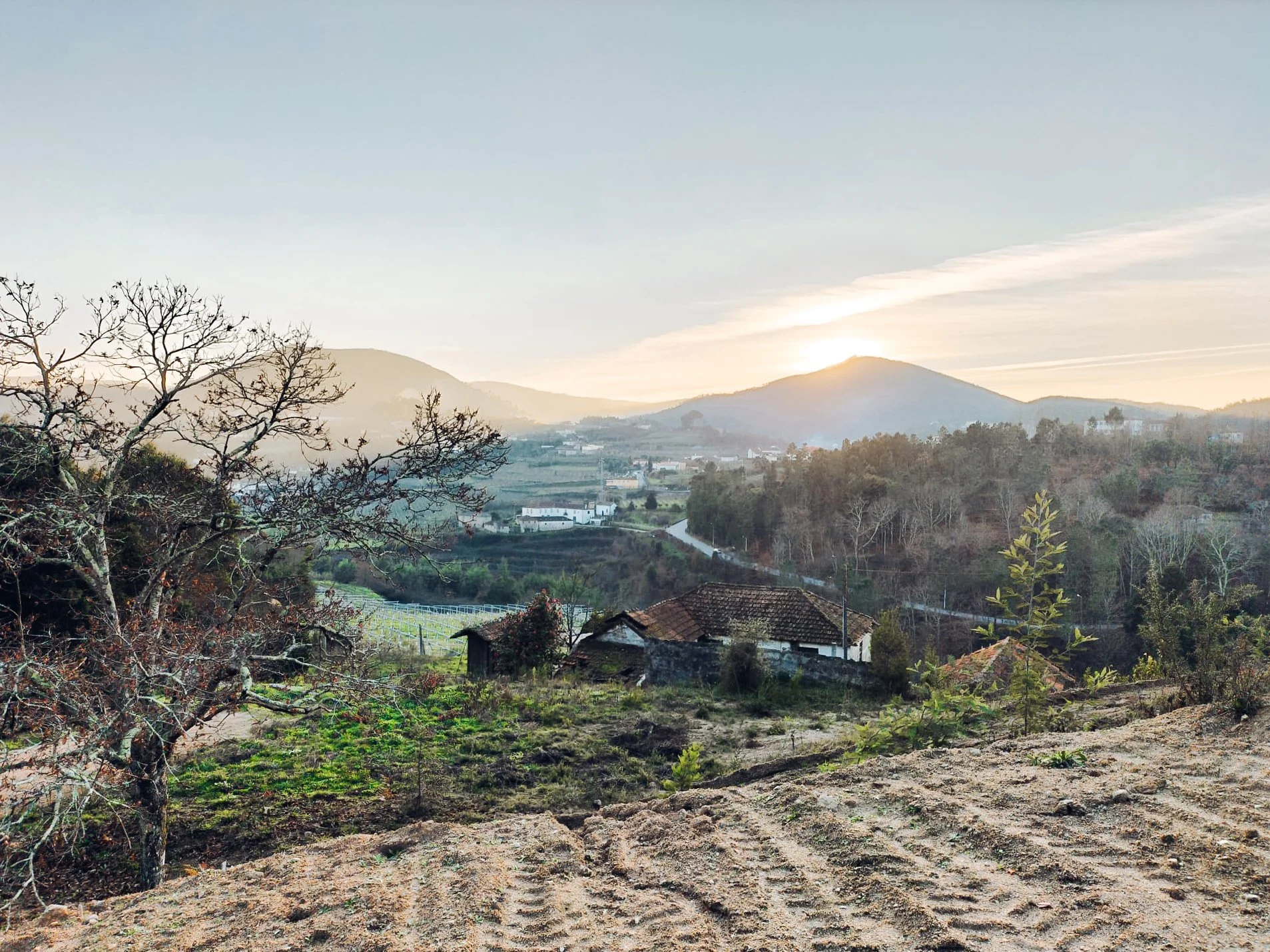 Imagem WhatsApp 2024-10-04 às 11.59.34_78be6bb0.jpg