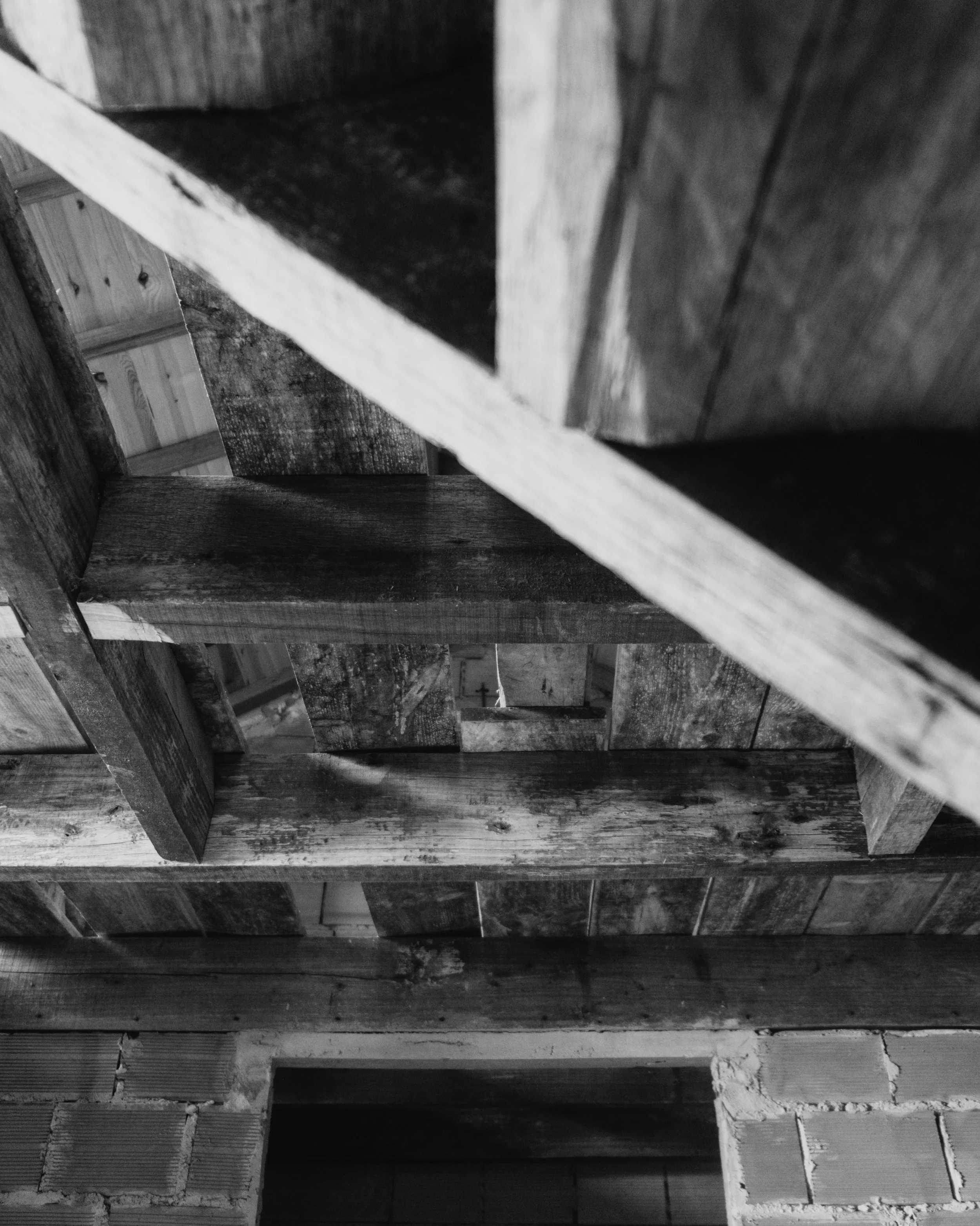 DSCF6412.jpg