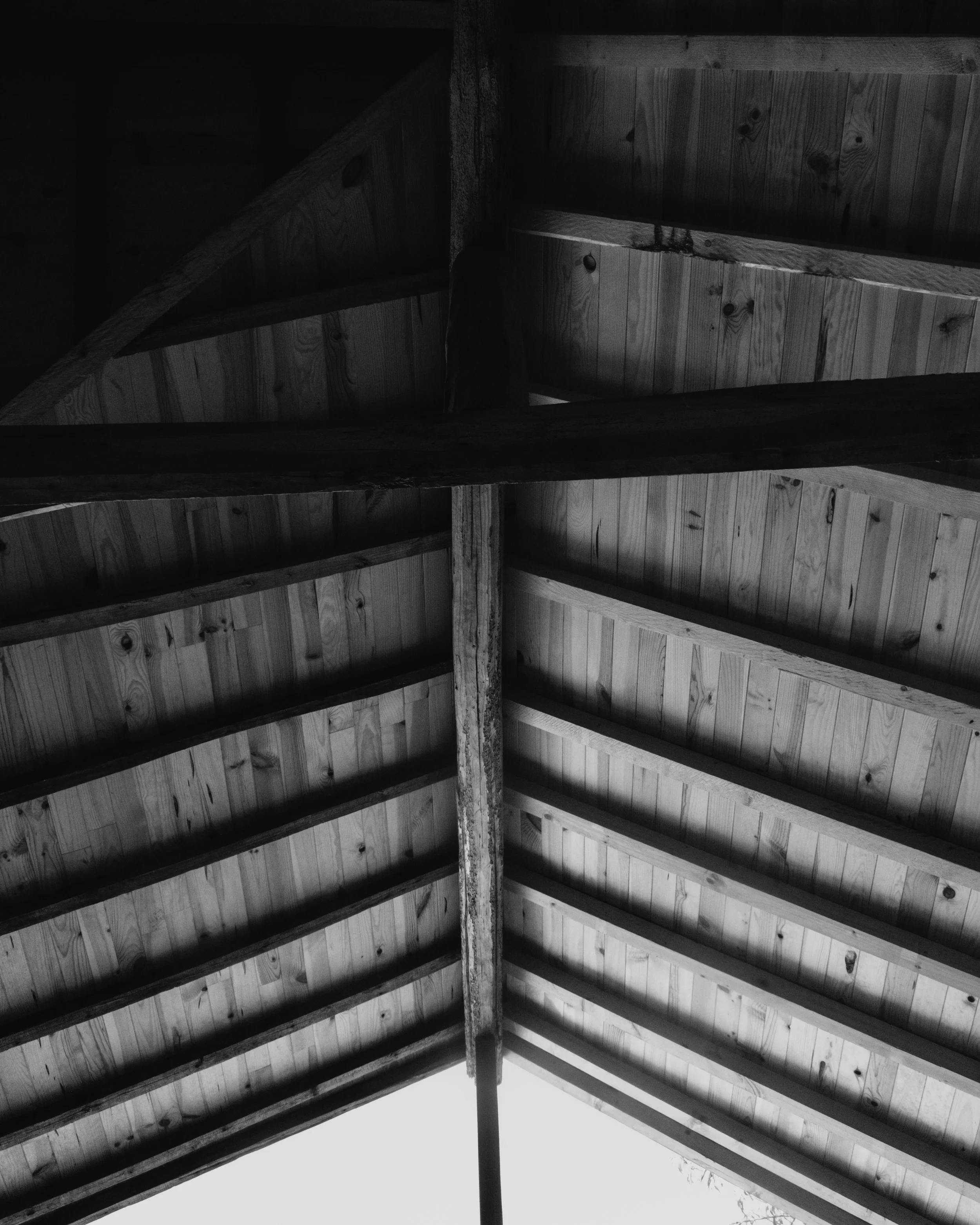 DSCF6538.jpg