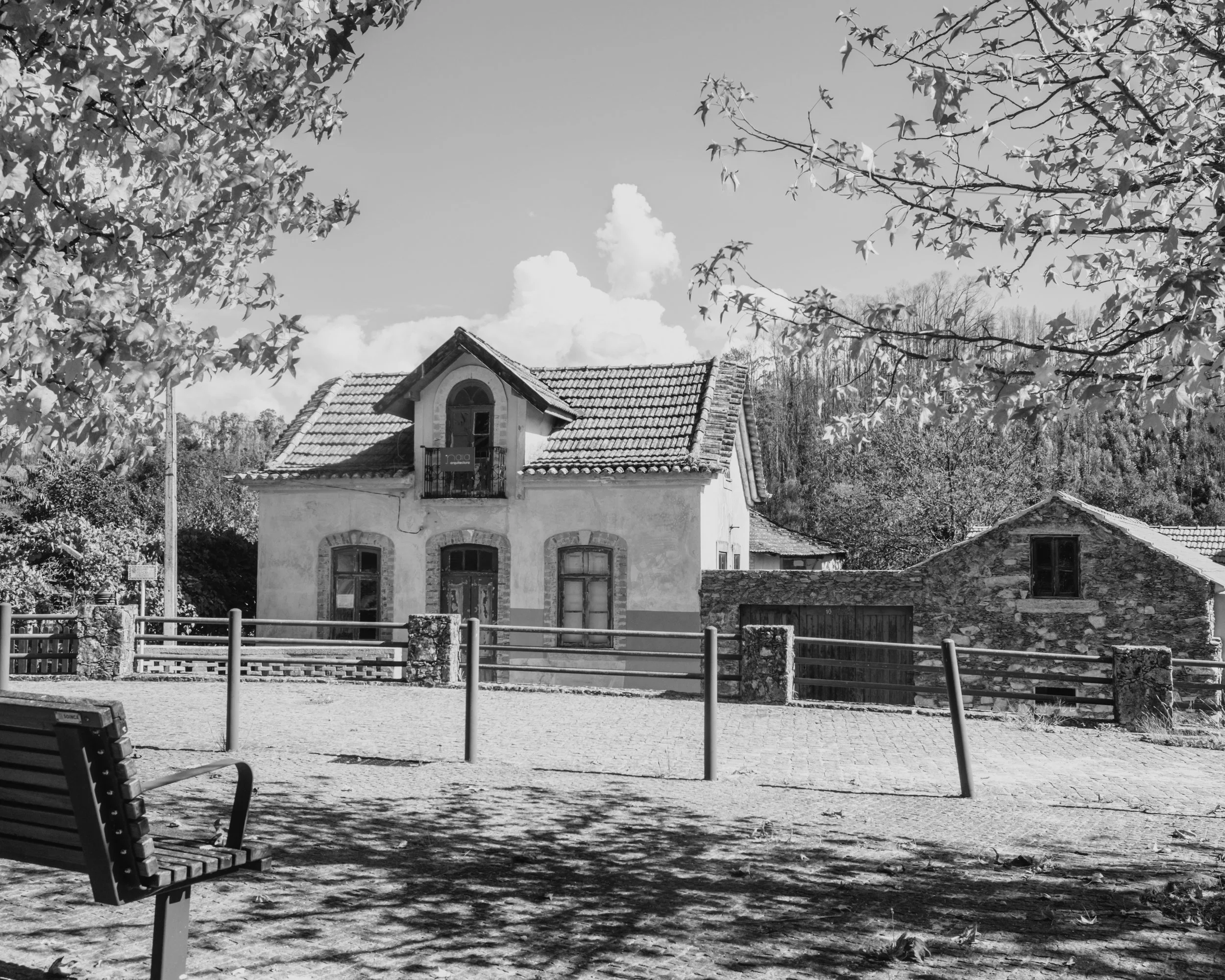 DSCF6817.jpg