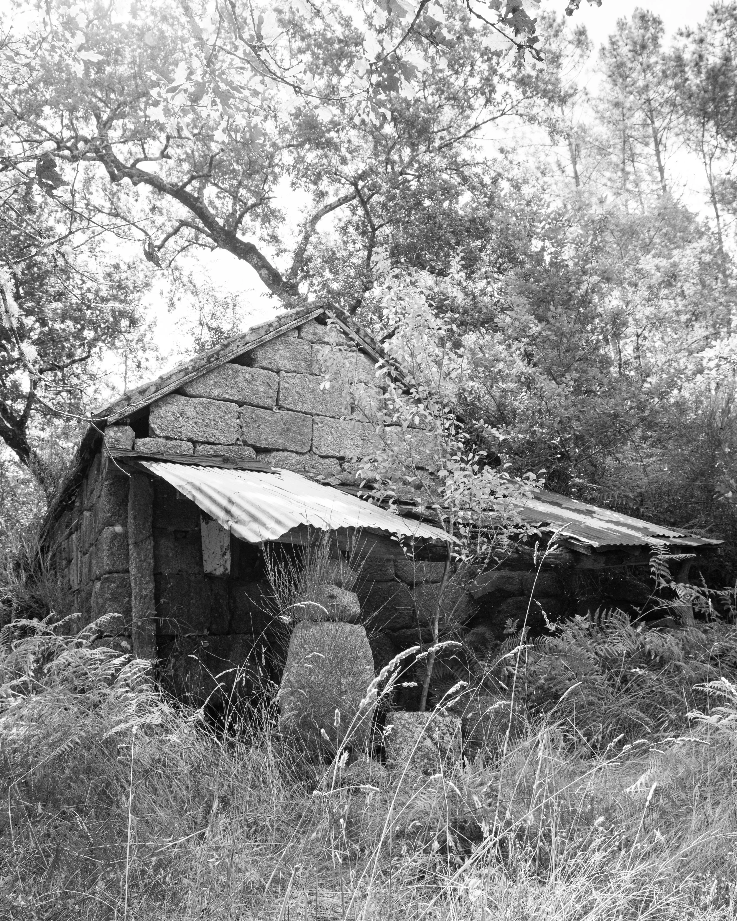 DSCF6593.jpg