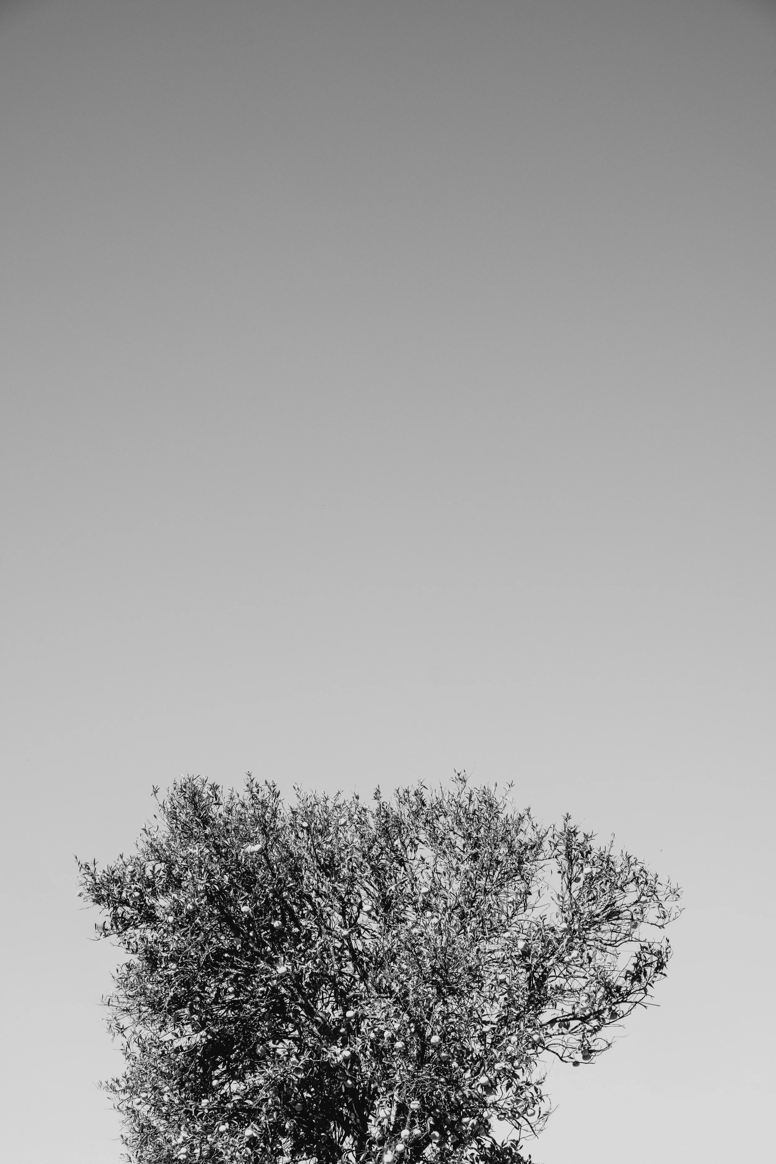 DSCF2689-Edit.jpg
