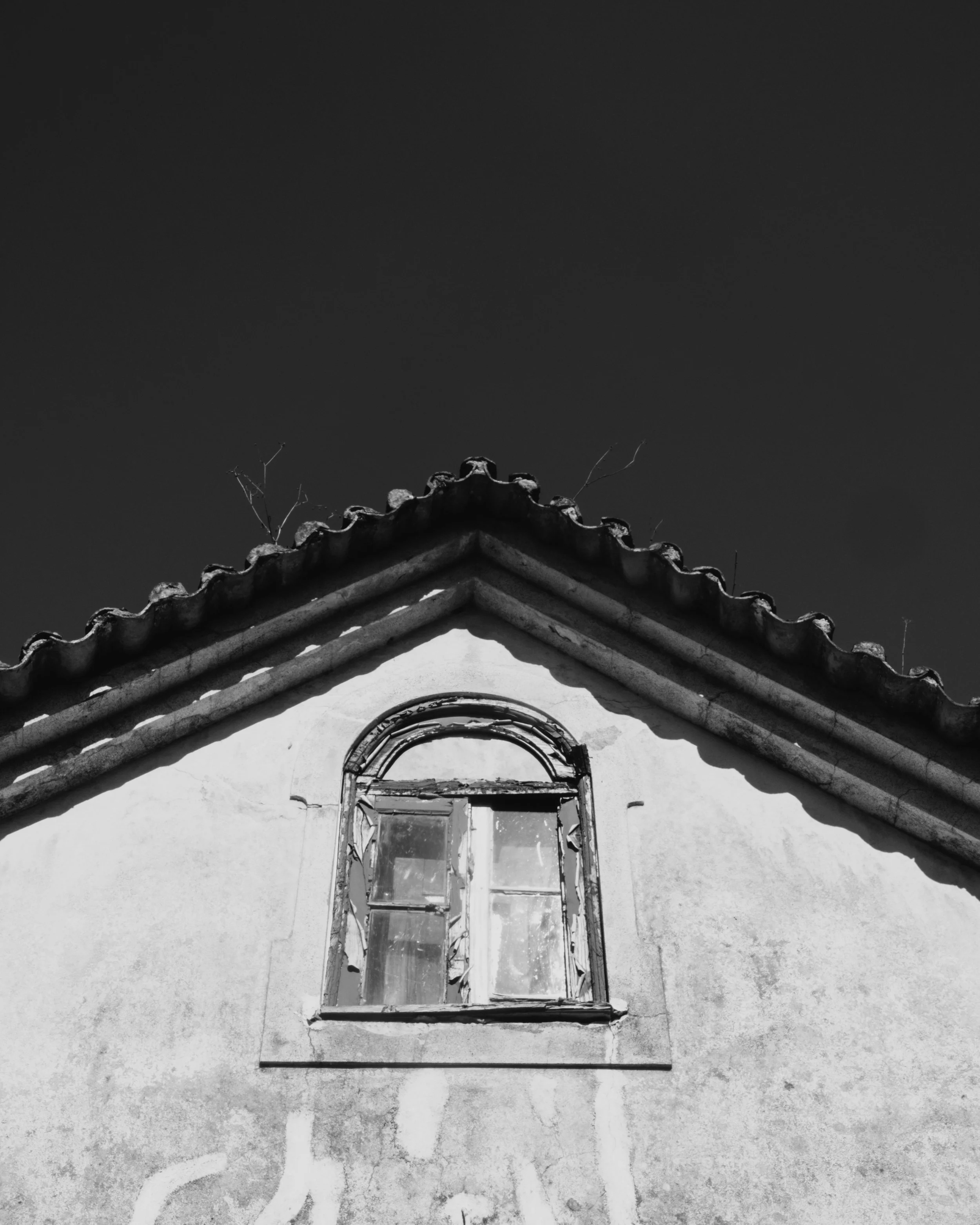 DSCF6743.jpg