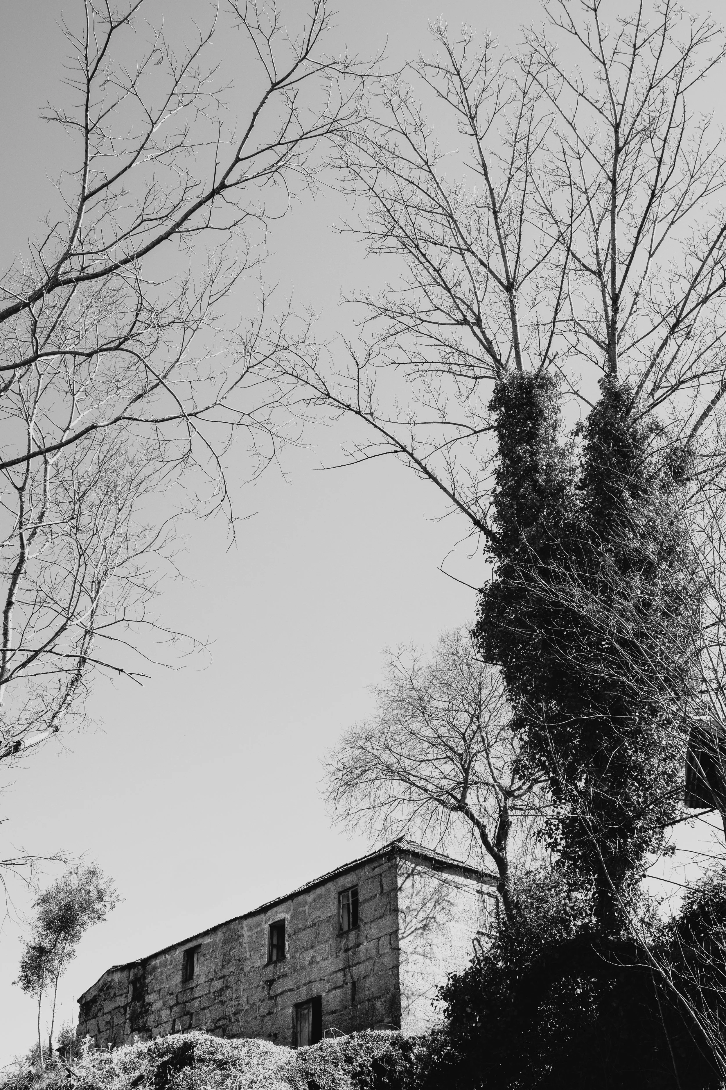 DSCF2730-Edit.jpg