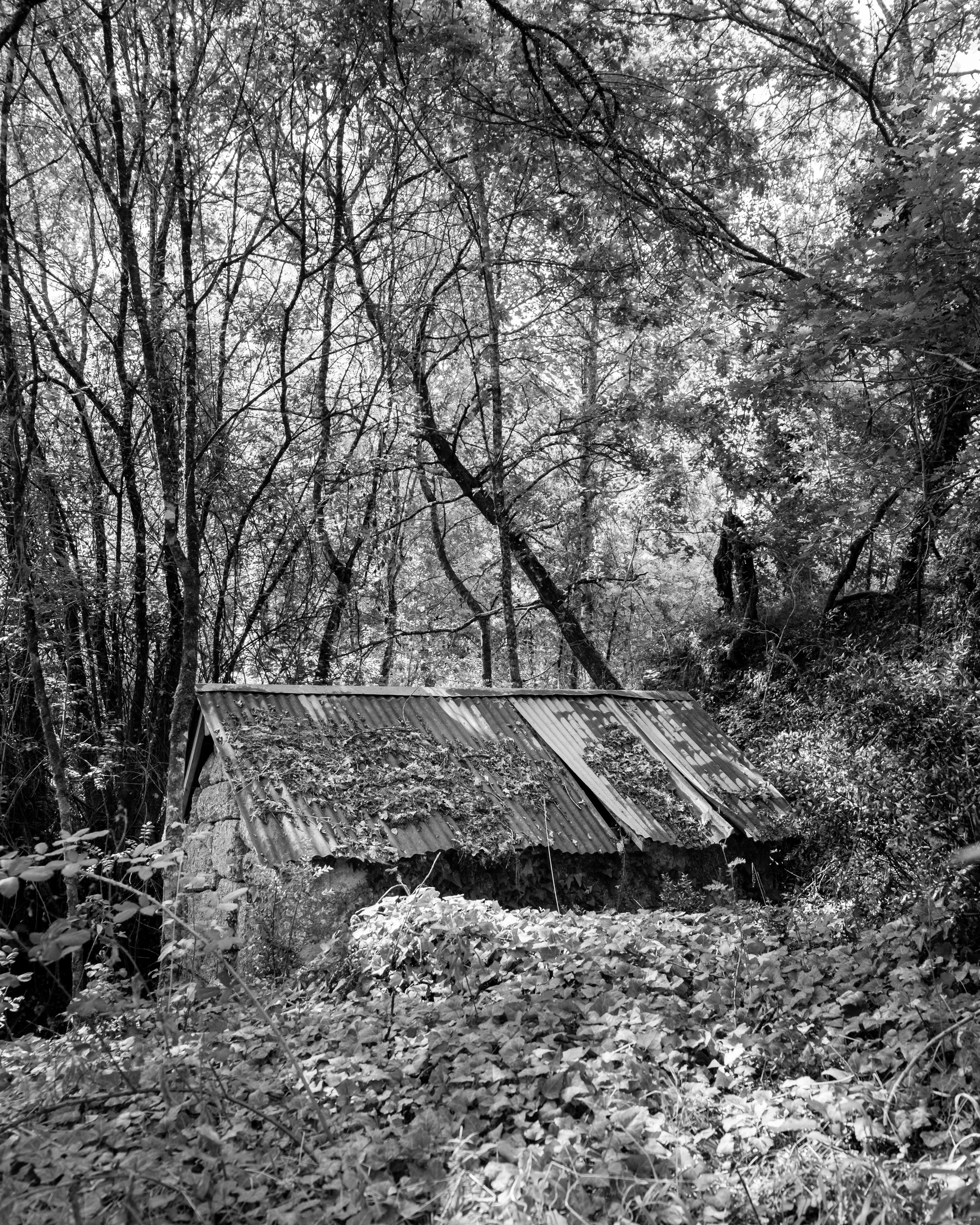 DSCF6553.jpg