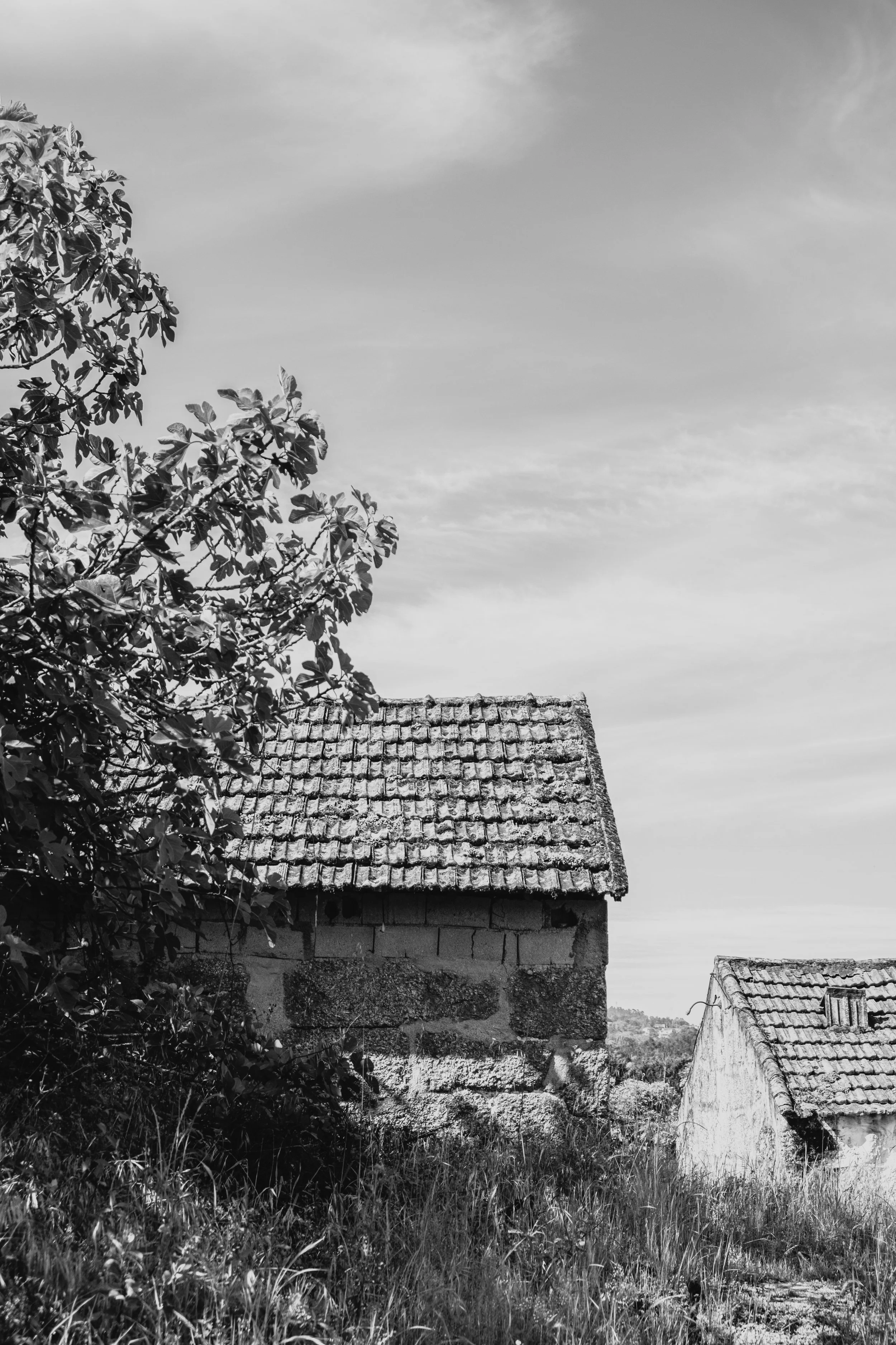 DSCF3567-Edit.jpg