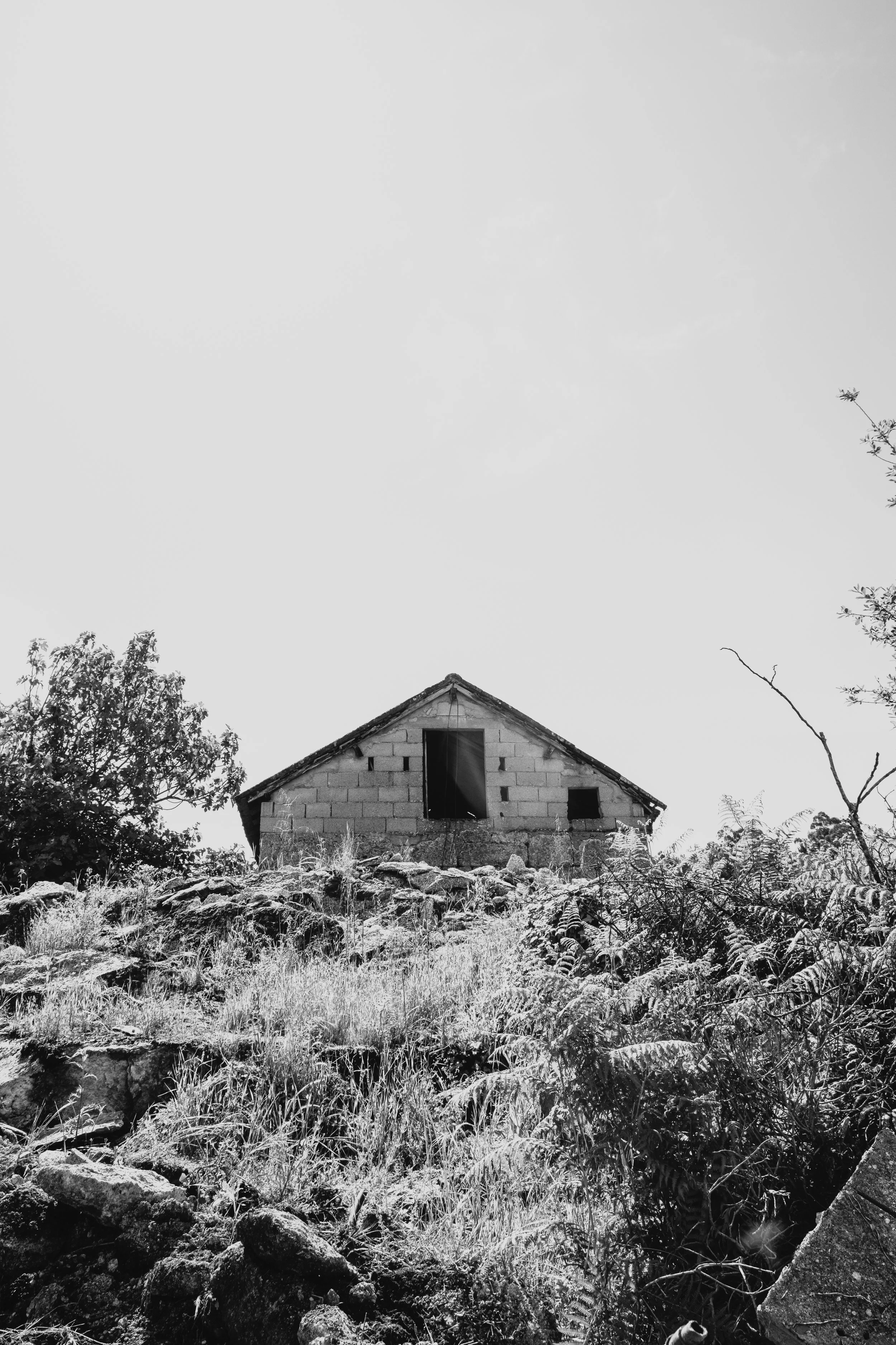 DSCF3633.jpg