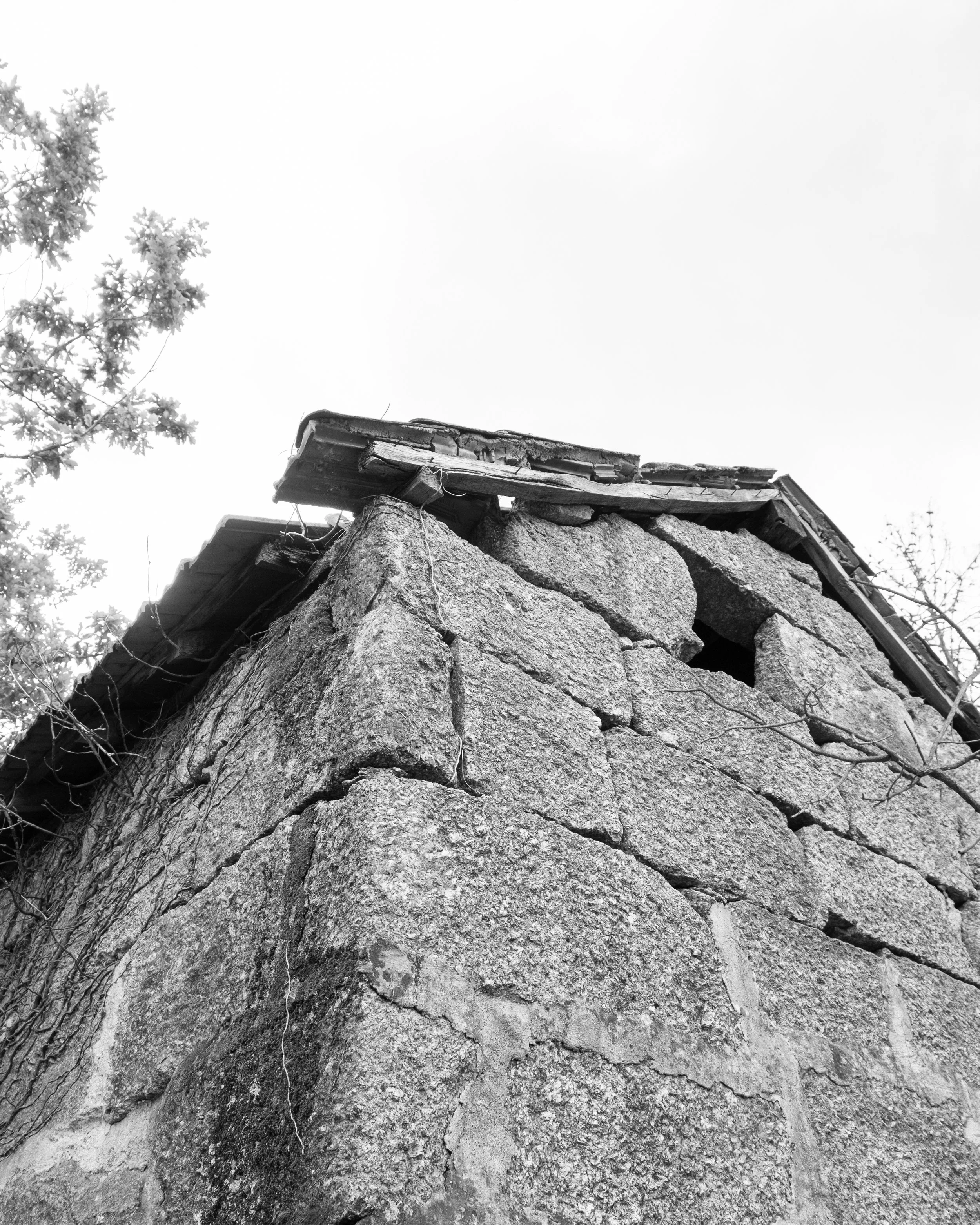 DSCF6569.jpg