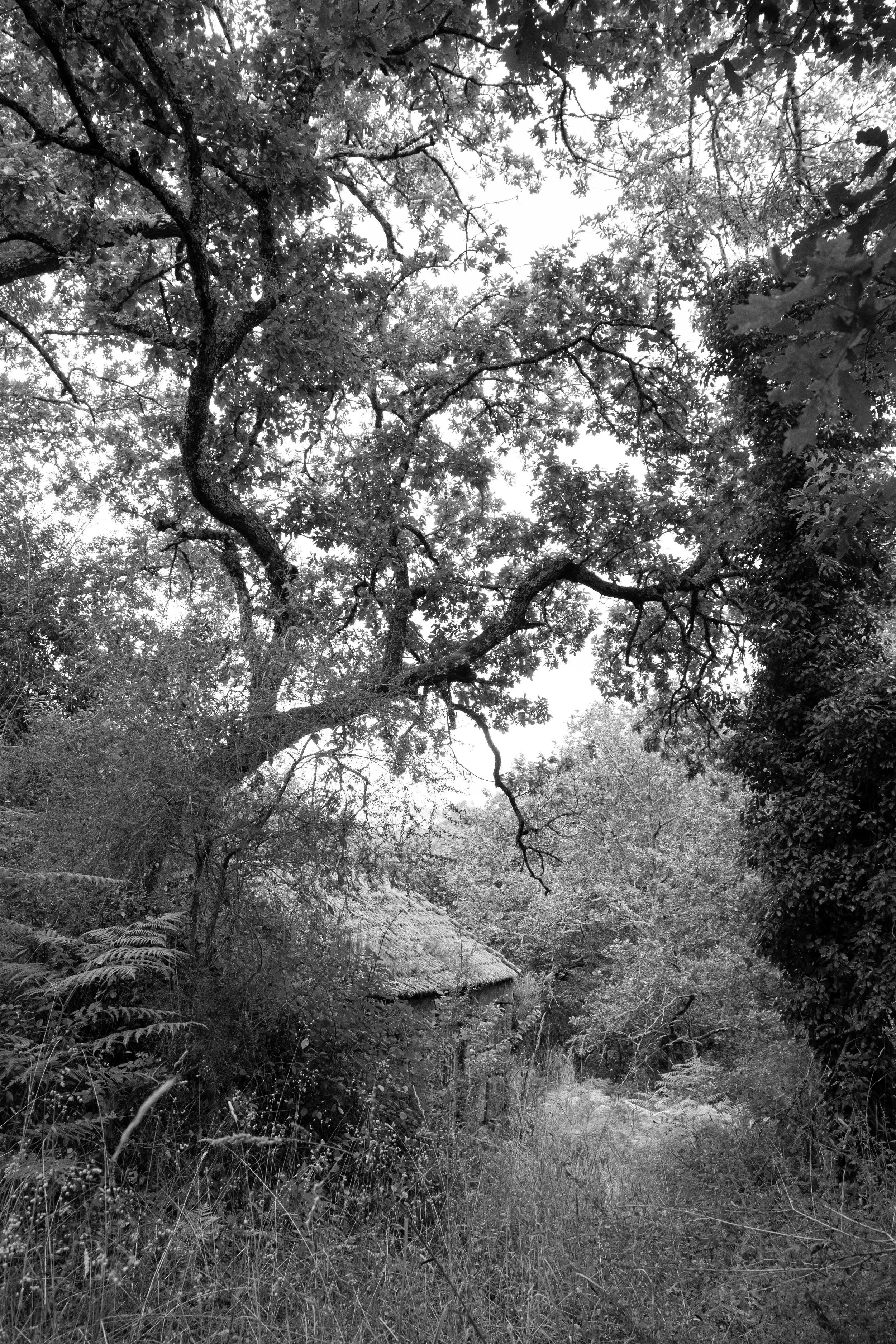 DSCF6607.jpg