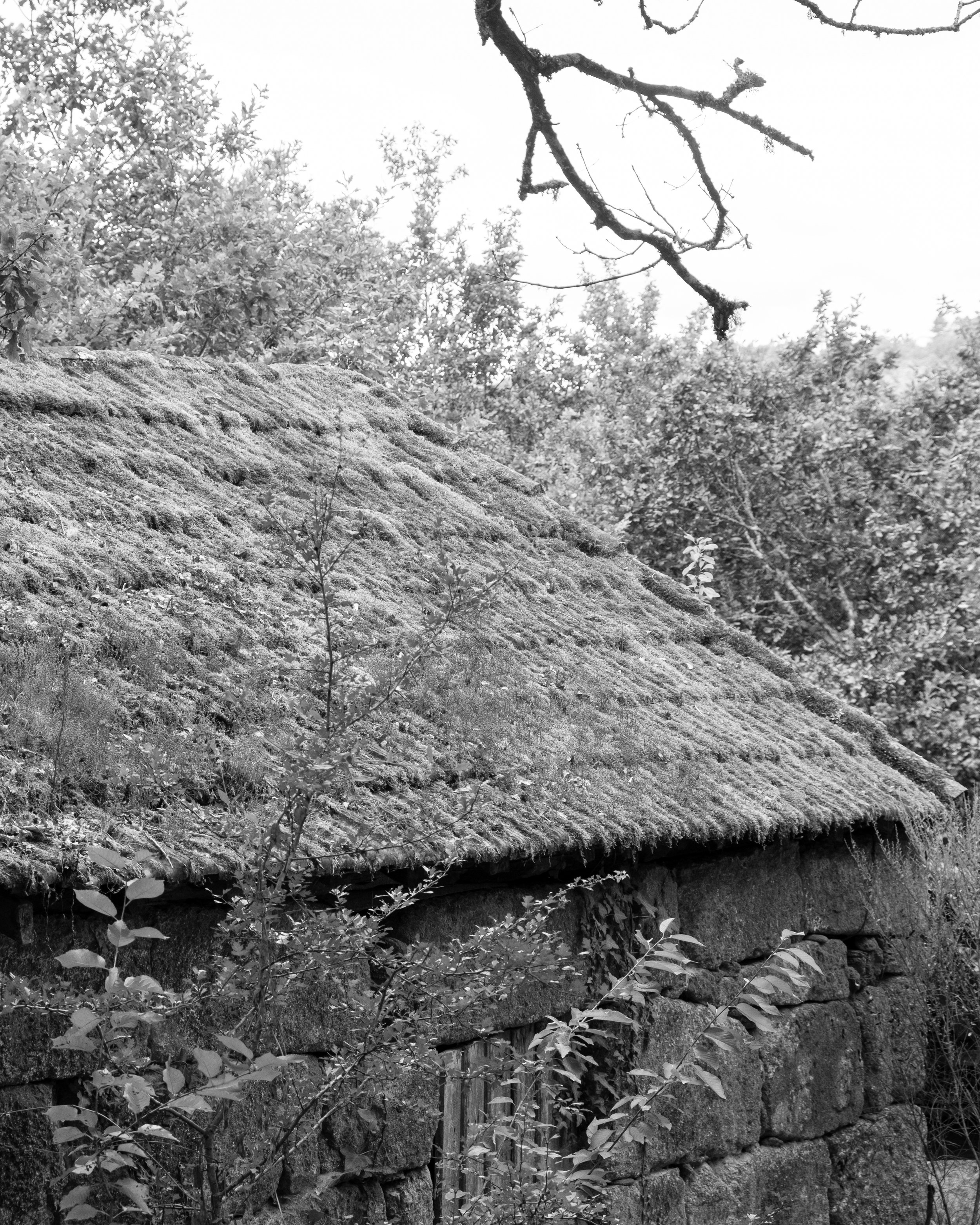 DSCF6602.jpg